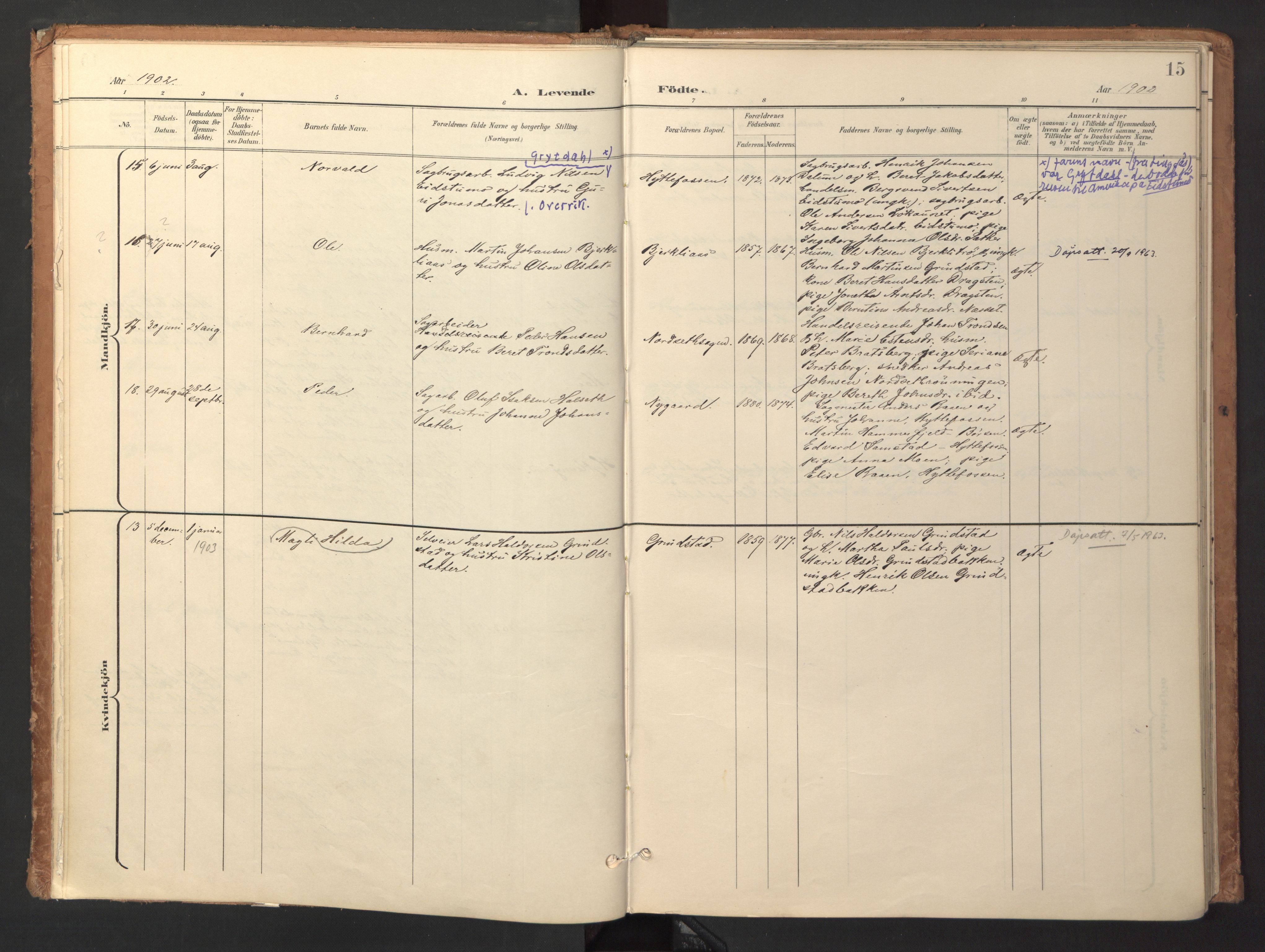 Ministerialprotokoller, klokkerbøker og fødselsregistre - Sør-Trøndelag, AV/SAT-A-1456/618/L0448: Parish register (official) no. 618A11, 1898-1916, p. 15