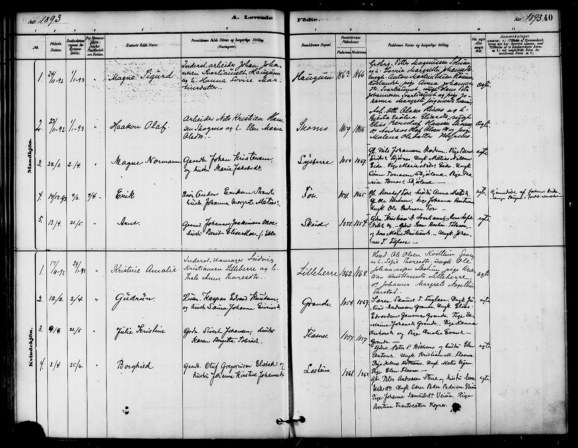 Ministerialprotokoller, klokkerbøker og fødselsregistre - Nord-Trøndelag, SAT/A-1458/764/L0555: Parish register (official) no. 764A10, 1881-1896, p. 40