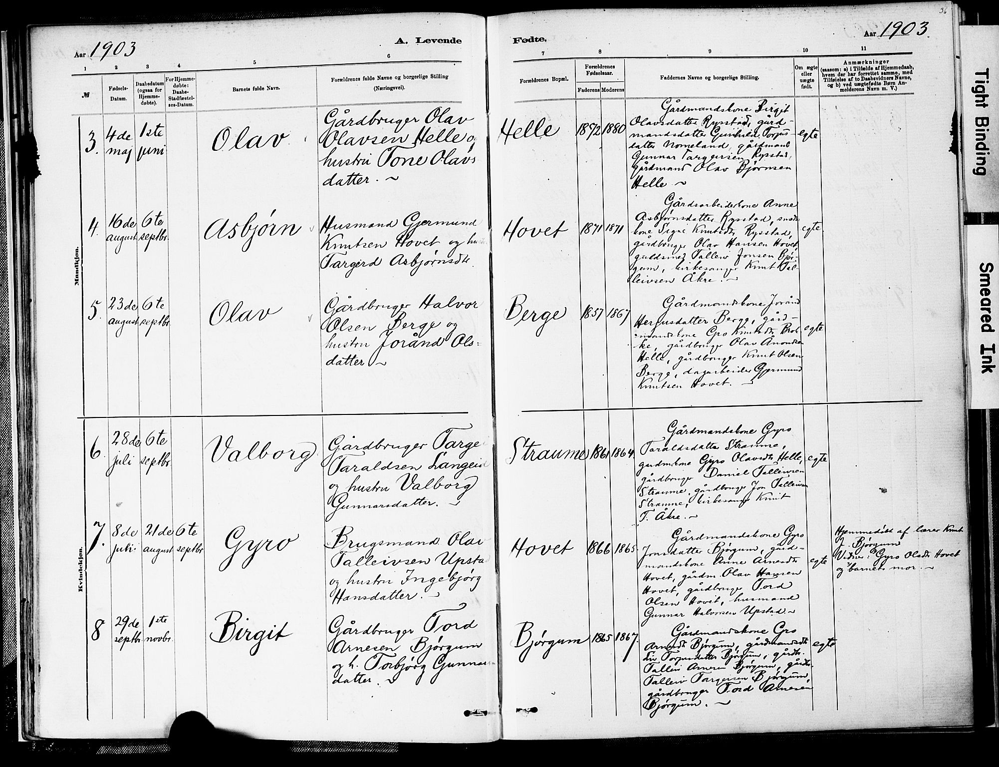 Valle sokneprestkontor, AV/SAK-1111-0044/F/Fa/Fab/L0001: Parish register (official) no. A 1, 1882-1910, p. 36