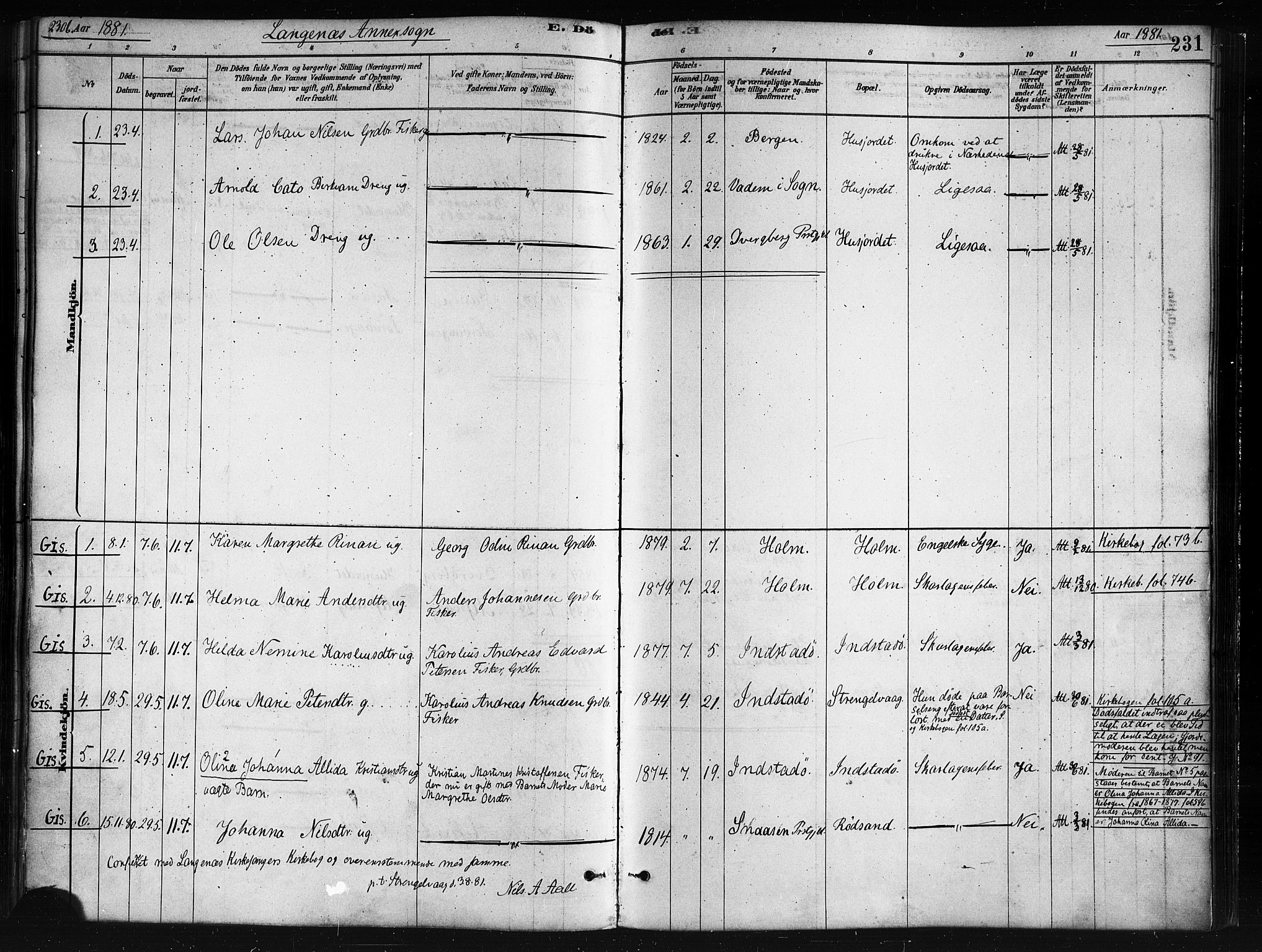 Ministerialprotokoller, klokkerbøker og fødselsregistre - Nordland, SAT/A-1459/893/L1335: Parish register (official) no. 893A08 /2, 1878-1884, p. 231