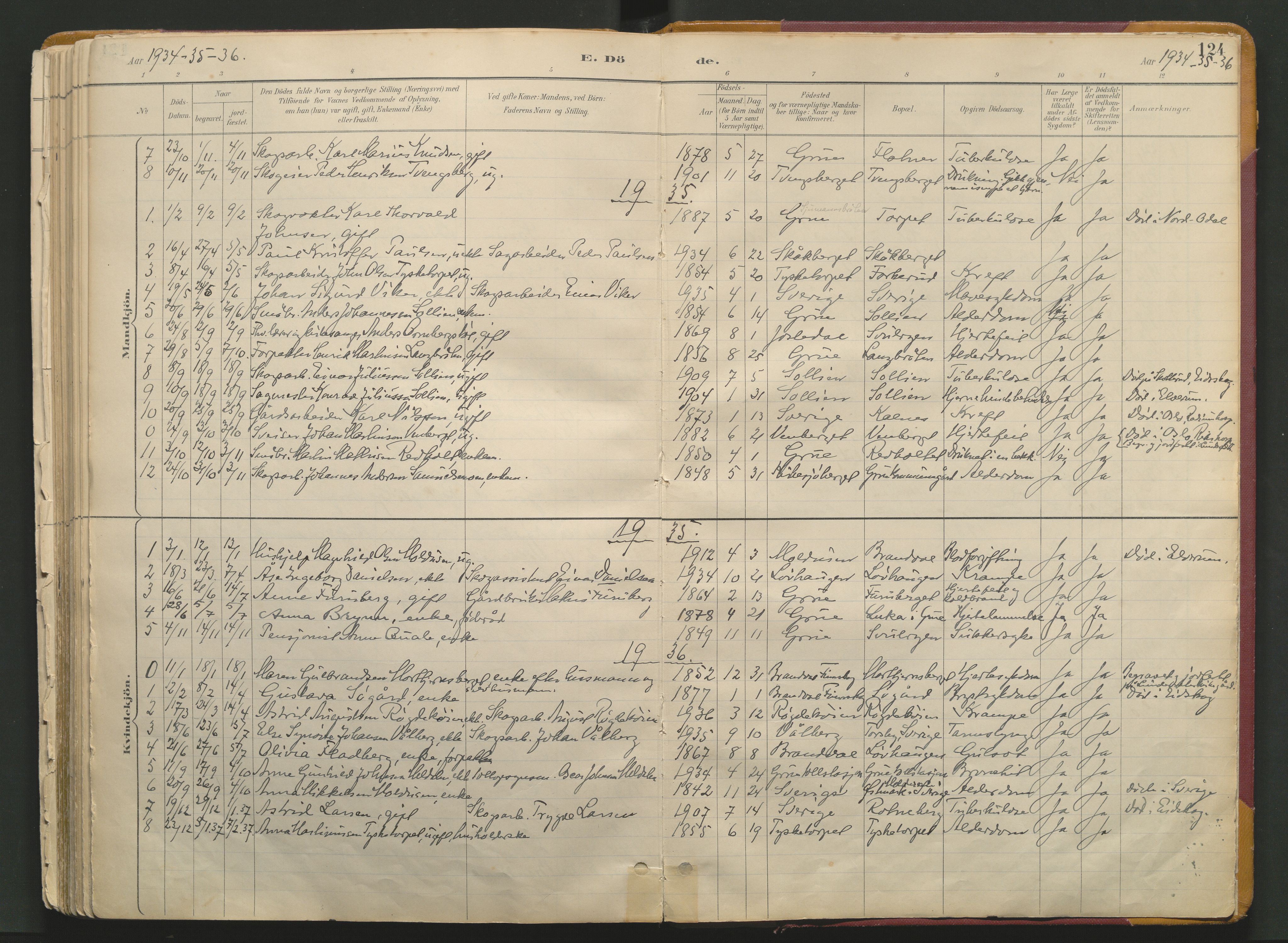 Grue prestekontor, SAH/PREST-036/H/Ha/Haa/L0017: Parish register (official) no. 17, 1892-1936, p. 124