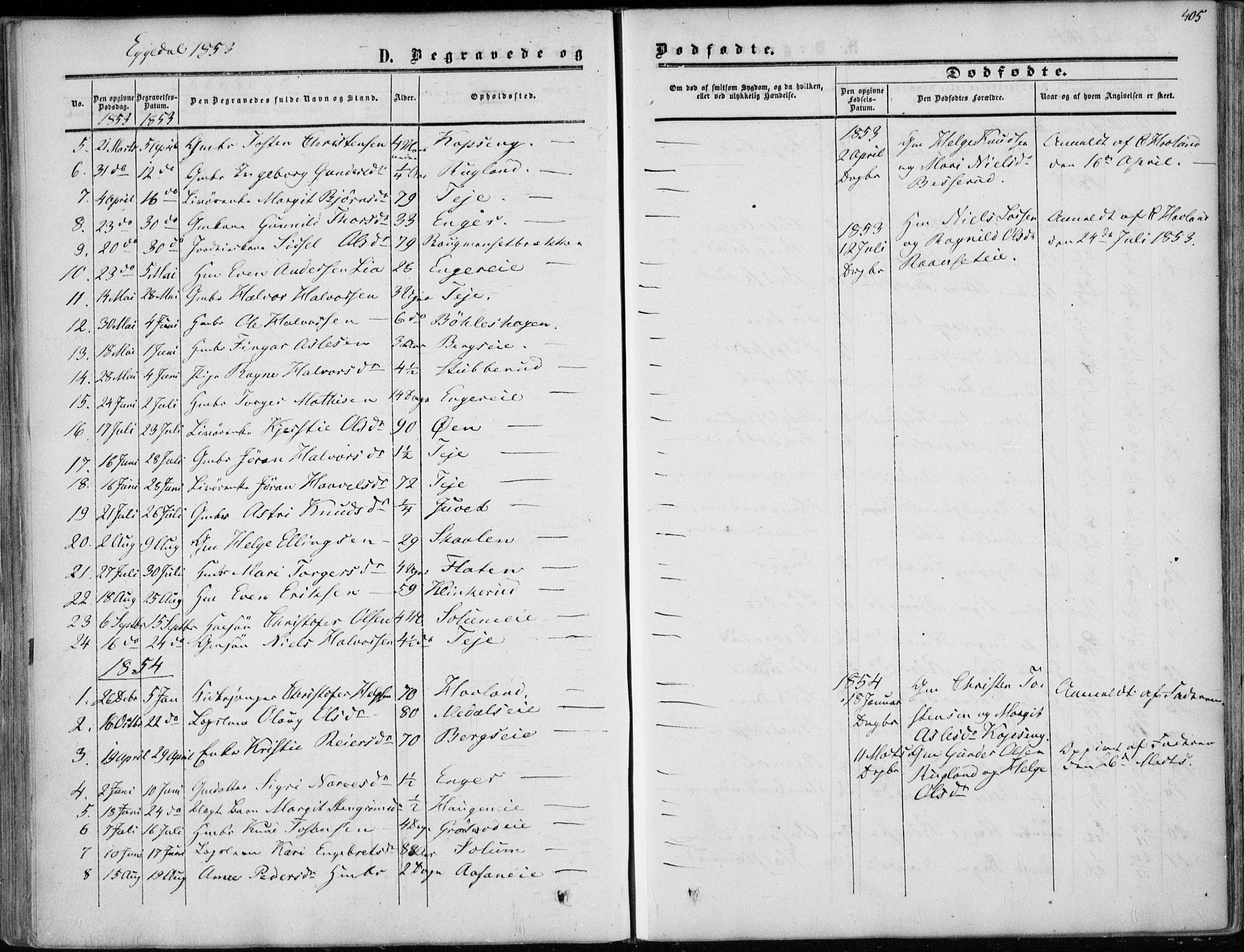 Sigdal kirkebøker, AV/SAKO-A-245/F/Fa/L0008: Parish register (official) no. I 8, 1850-1859, p. 405