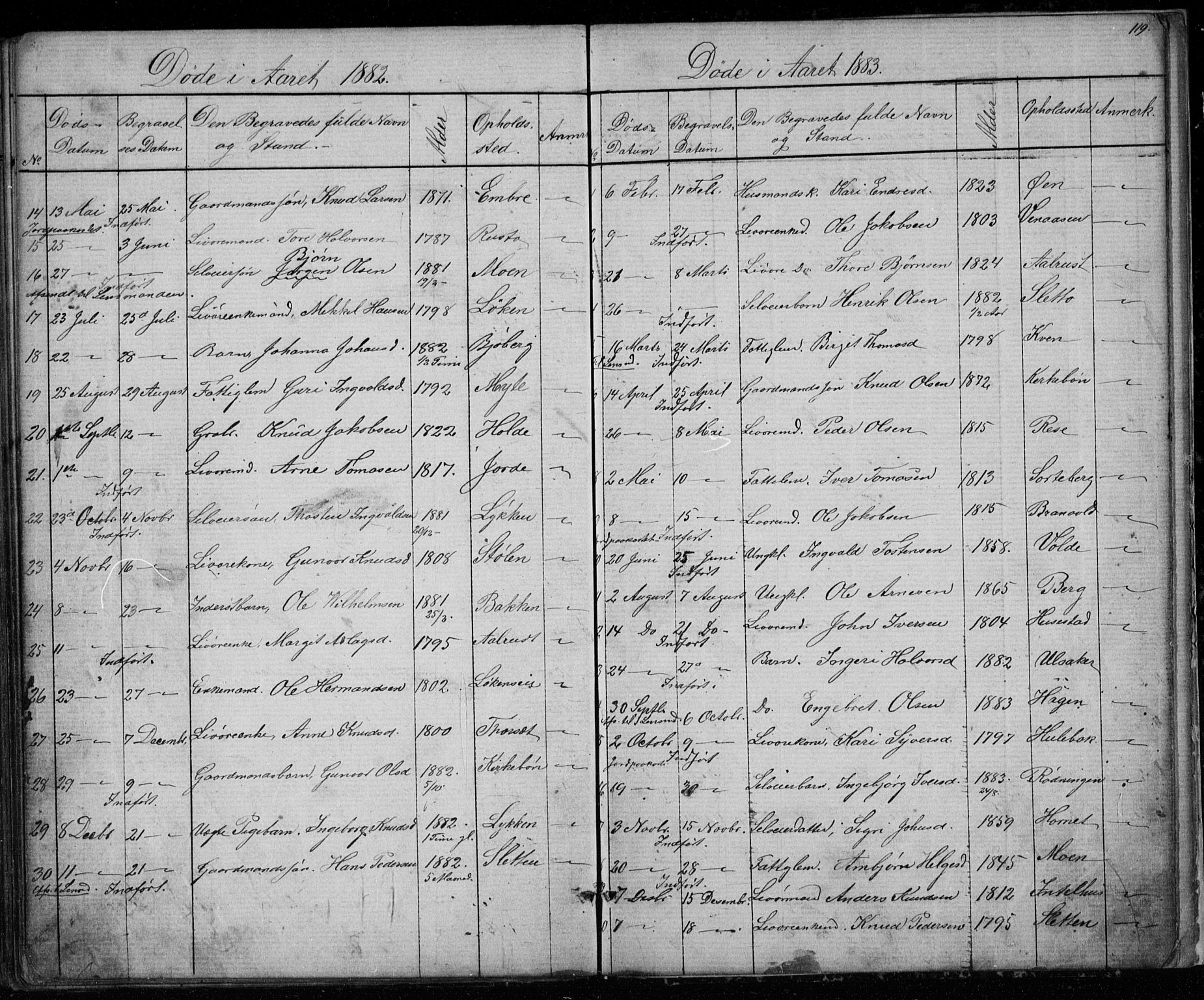 Gol kirkebøker, AV/SAKO-A-226/G/Gb/L0005: Parish register (copy) no. II 5, 1875-1891, p. 119