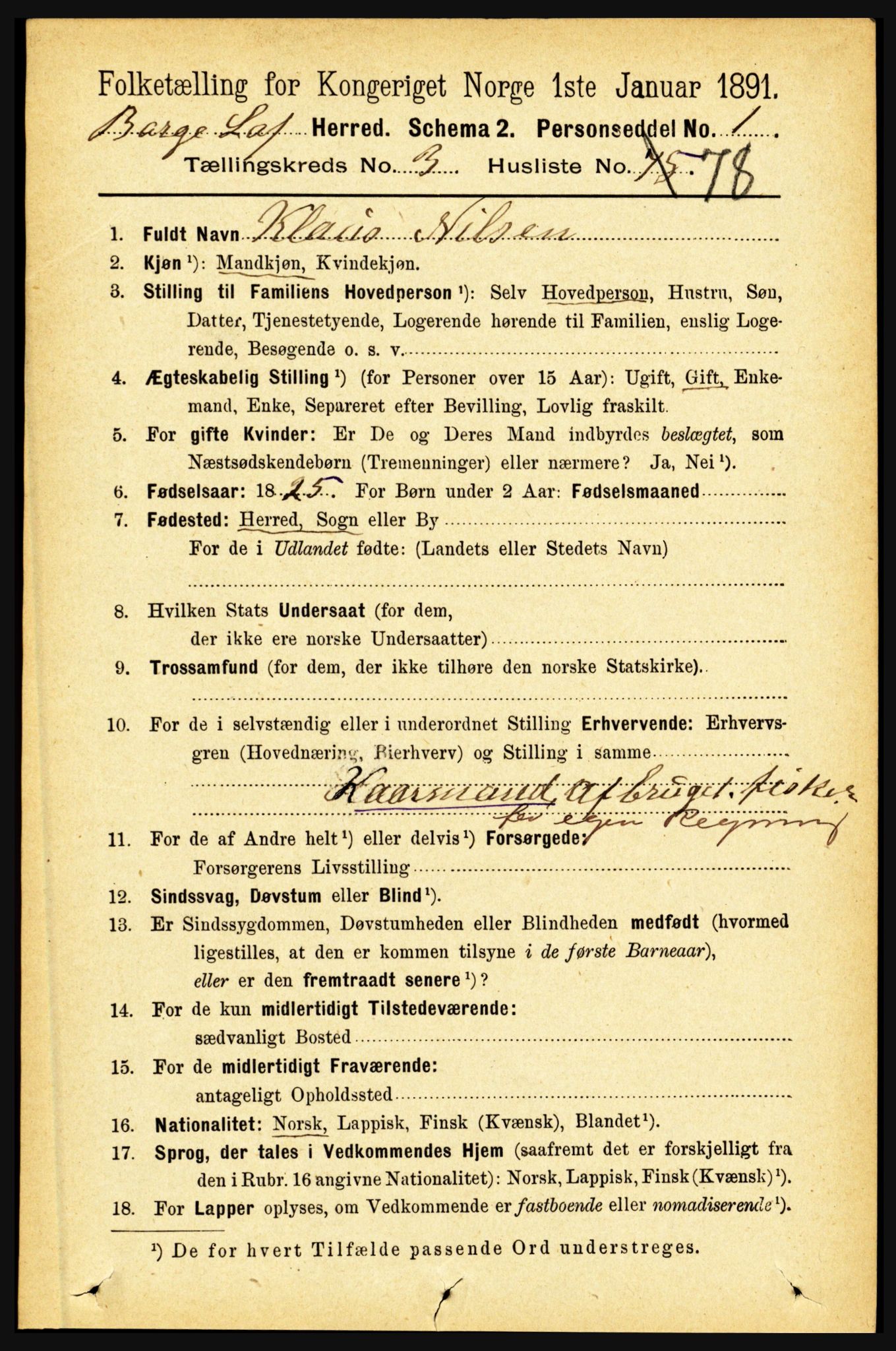 RA, 1891 census for 1862 Borge, 1891, p. 2000