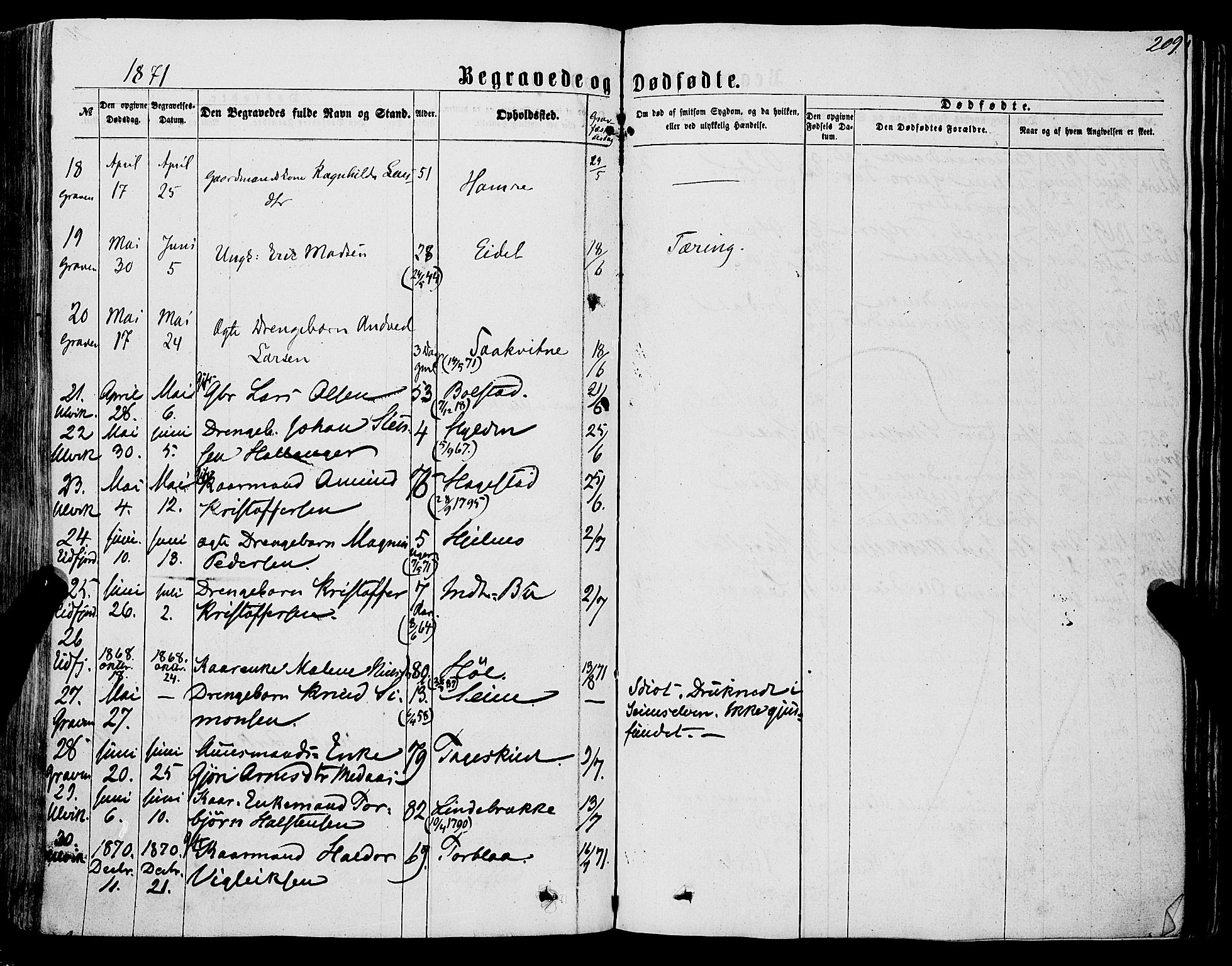 Ulvik sokneprestembete, AV/SAB-A-78801/H/Haa: Parish register (official) no. A 15, 1864-1878, p. 209