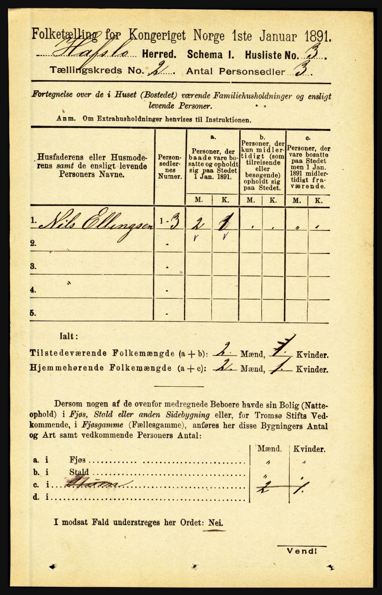 RA, 1891 census for 1425 Hafslo, 1891, p. 480