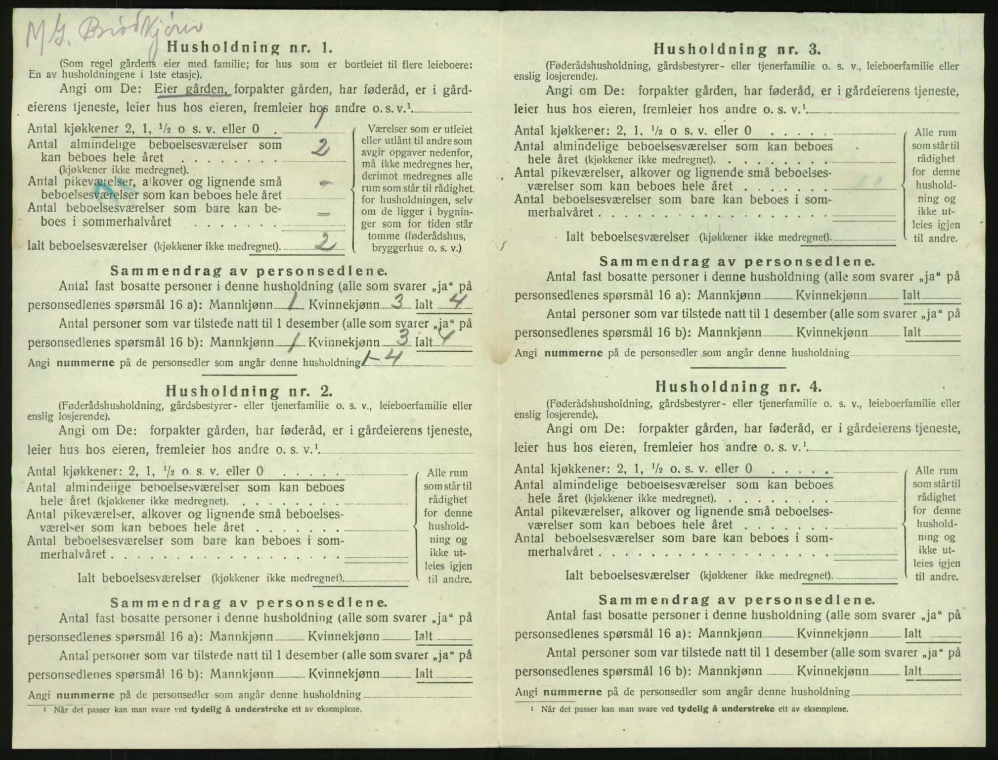 SAKO, 1920 census for Brunlanes, 1920, p. 740