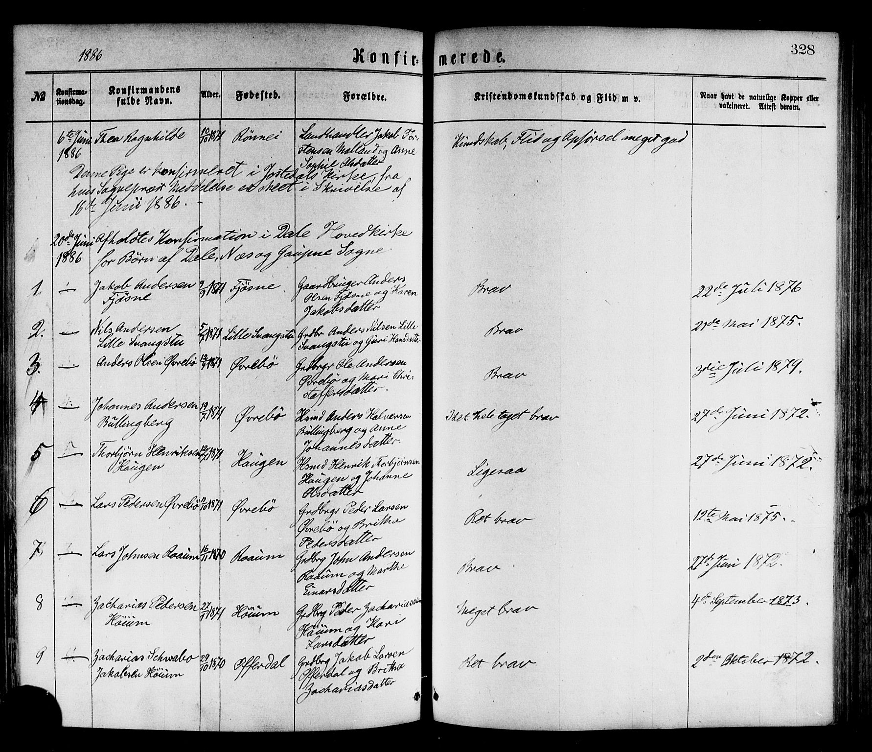 Luster sokneprestembete, AV/SAB-A-81101/H/Haa/Haaa/L0010: Parish register (official) no. A 10, 1871-1886, p. 328