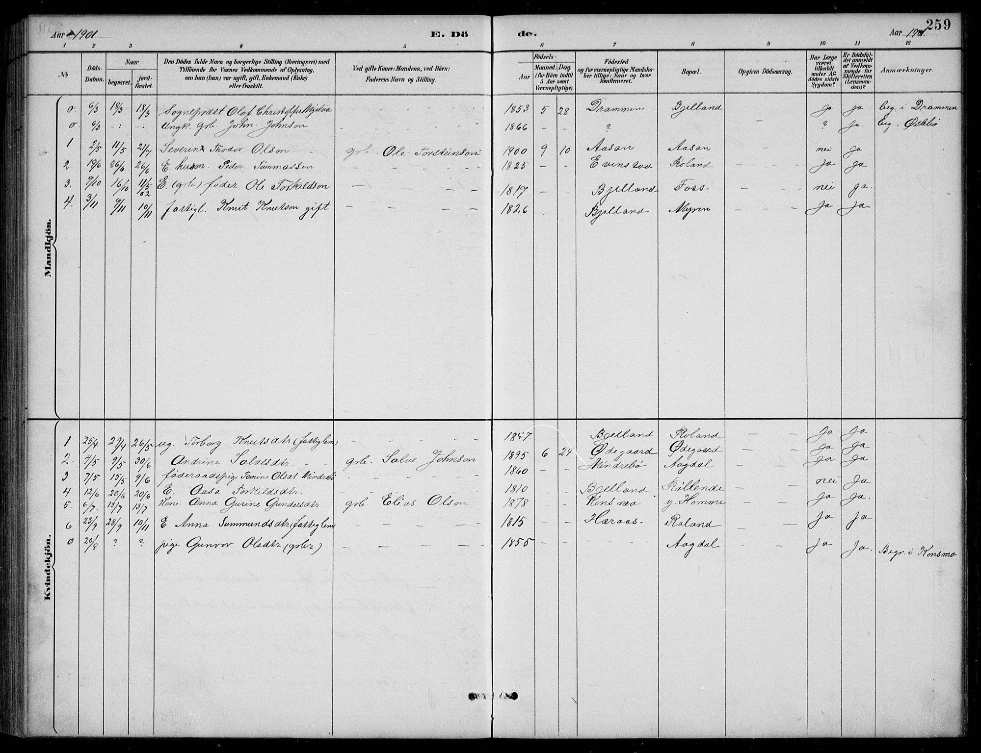 Bjelland sokneprestkontor, SAK/1111-0005/F/Fb/Fba/L0005: Parish register (copy) no. B 5, 1887-1923, p. 259