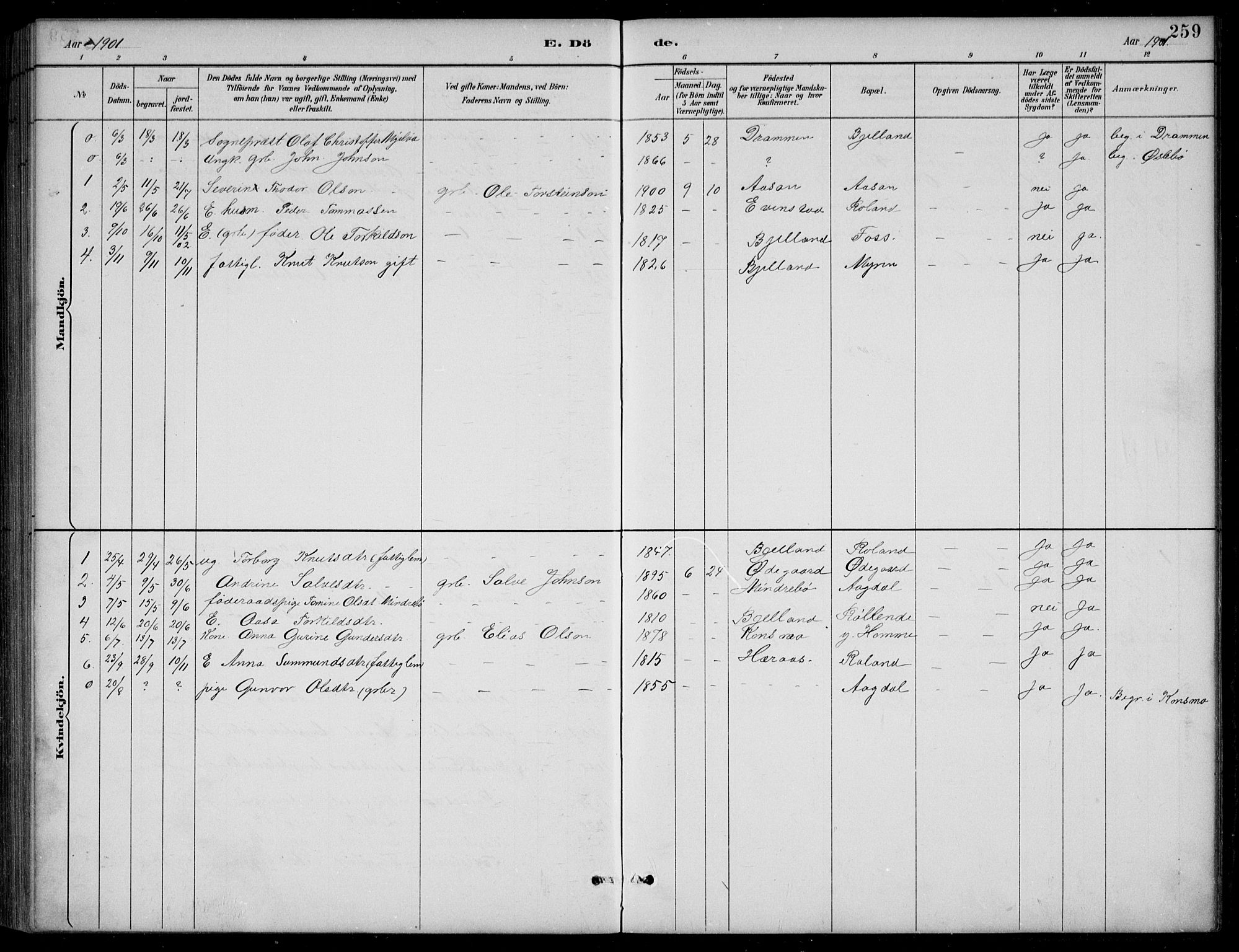 Bjelland sokneprestkontor, AV/SAK-1111-0005/F/Fb/Fba/L0005: Parish register (copy) no. B 5, 1887-1923, p. 259