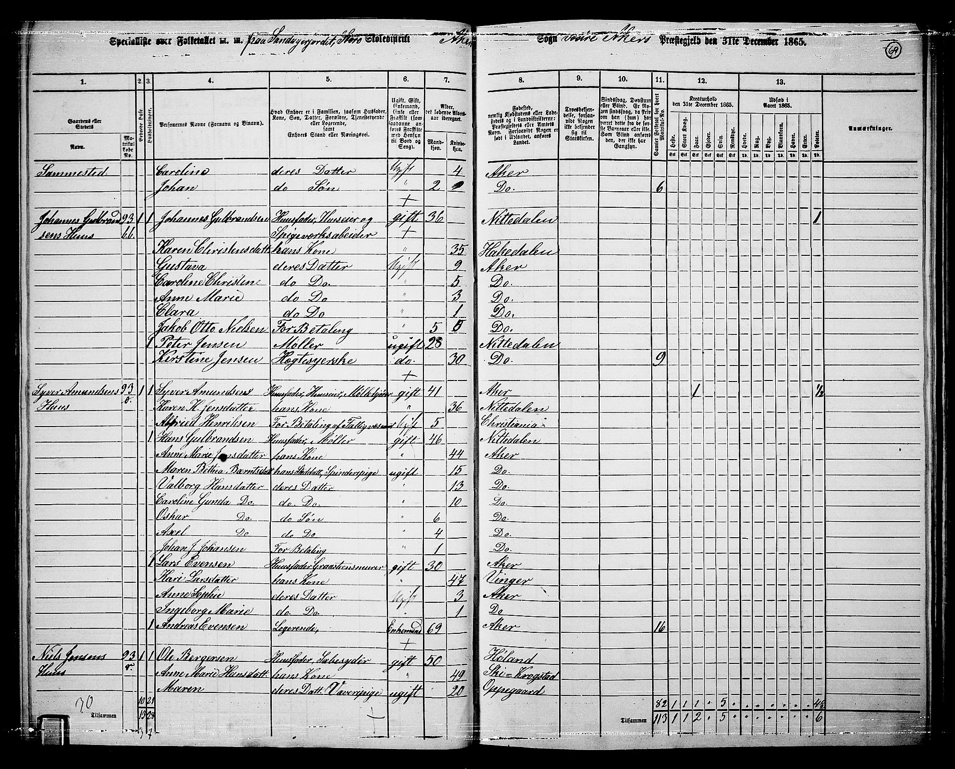 RA, 1865 census for Vestre Aker, 1865, p. 237