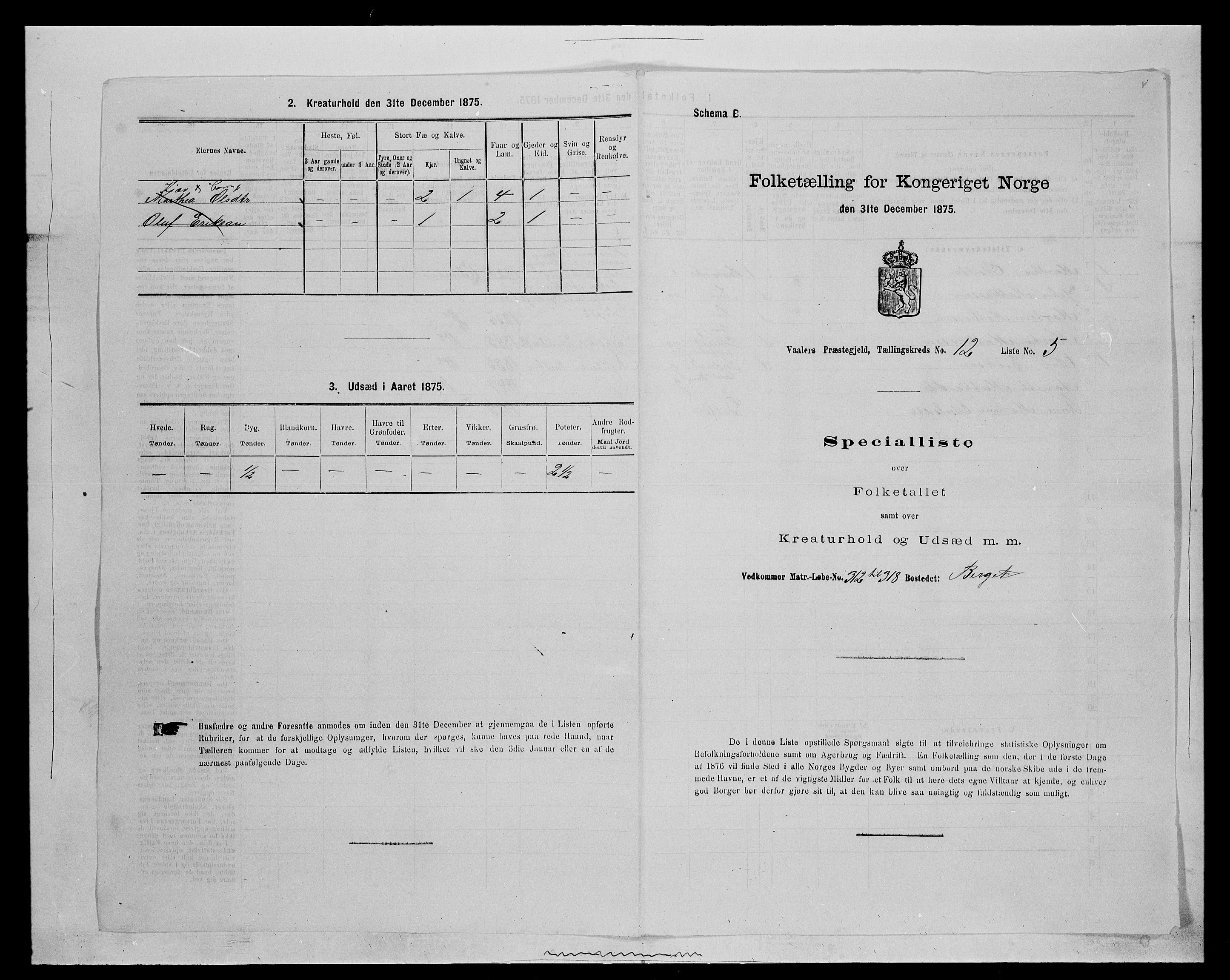 SAH, 1875 census for 0426P Våler parish (Hedmark), 1875, p. 1373