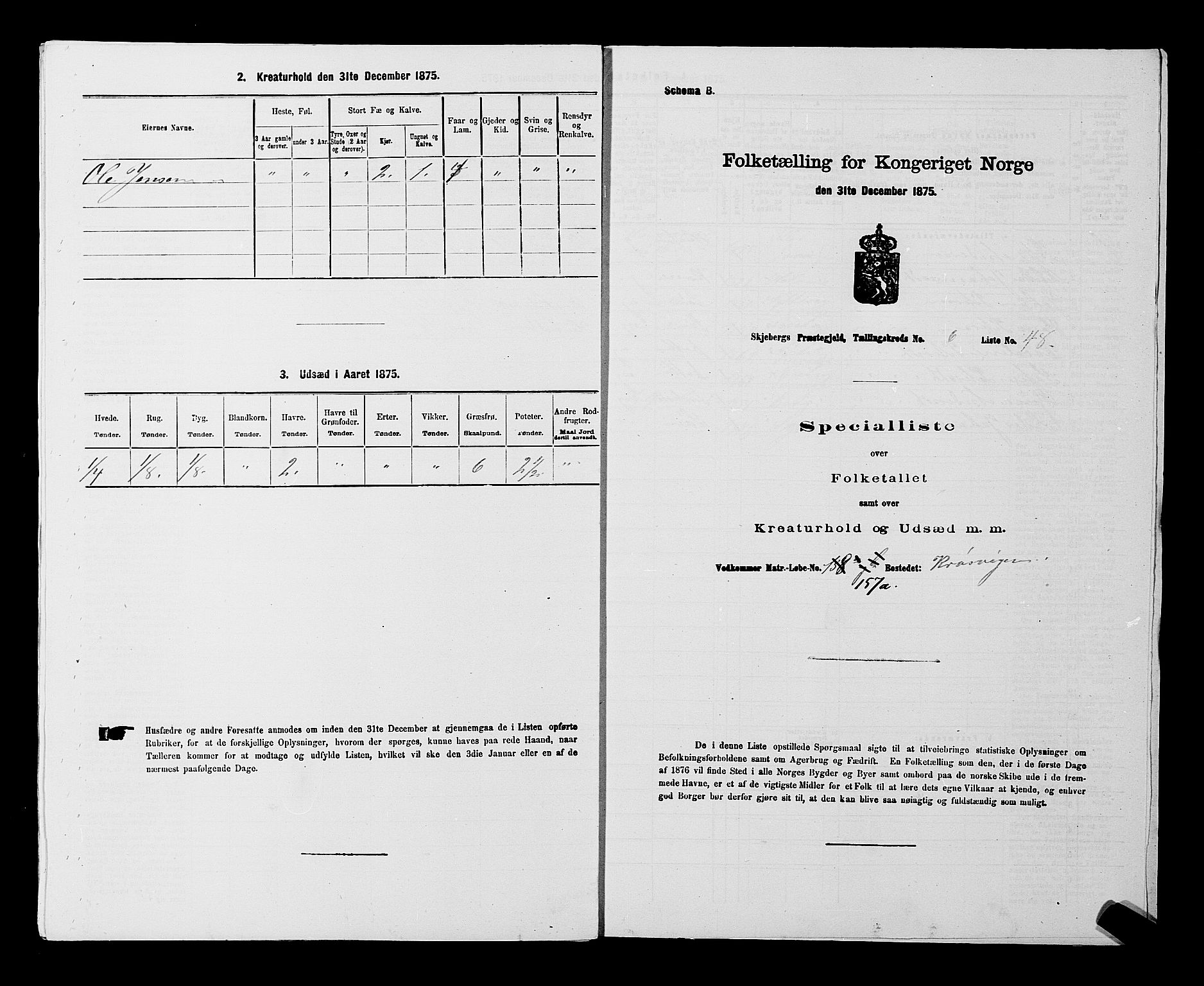 RA, 1875 census for 0115P Skjeberg, 1875, p. 1163