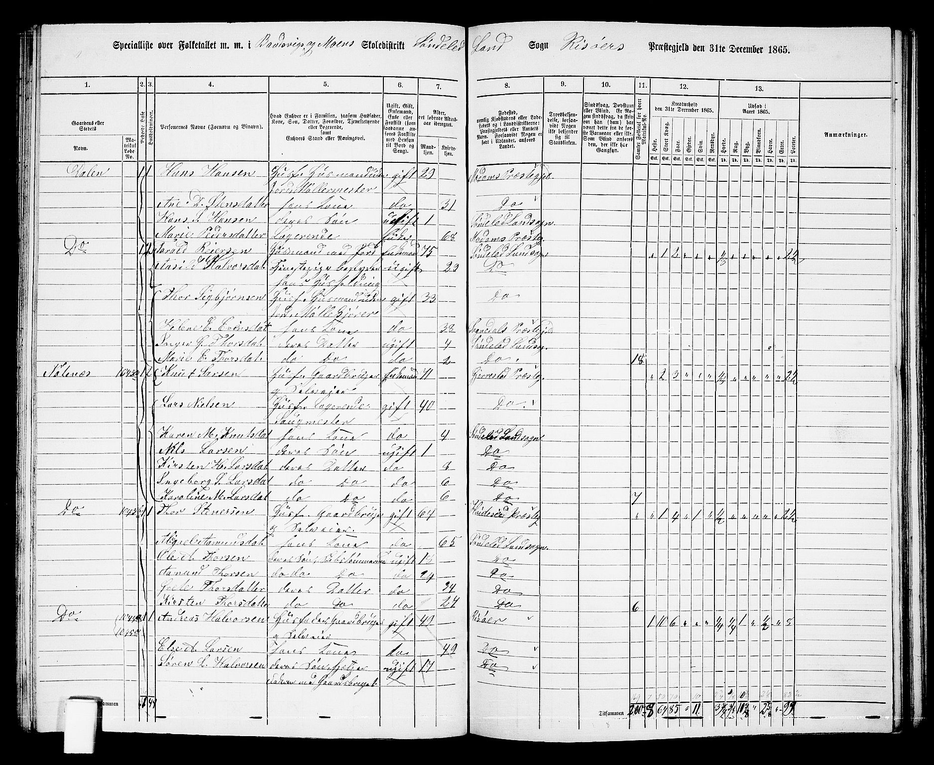 RA, 1865 census for Risør/Søndeled, 1865, p. 88