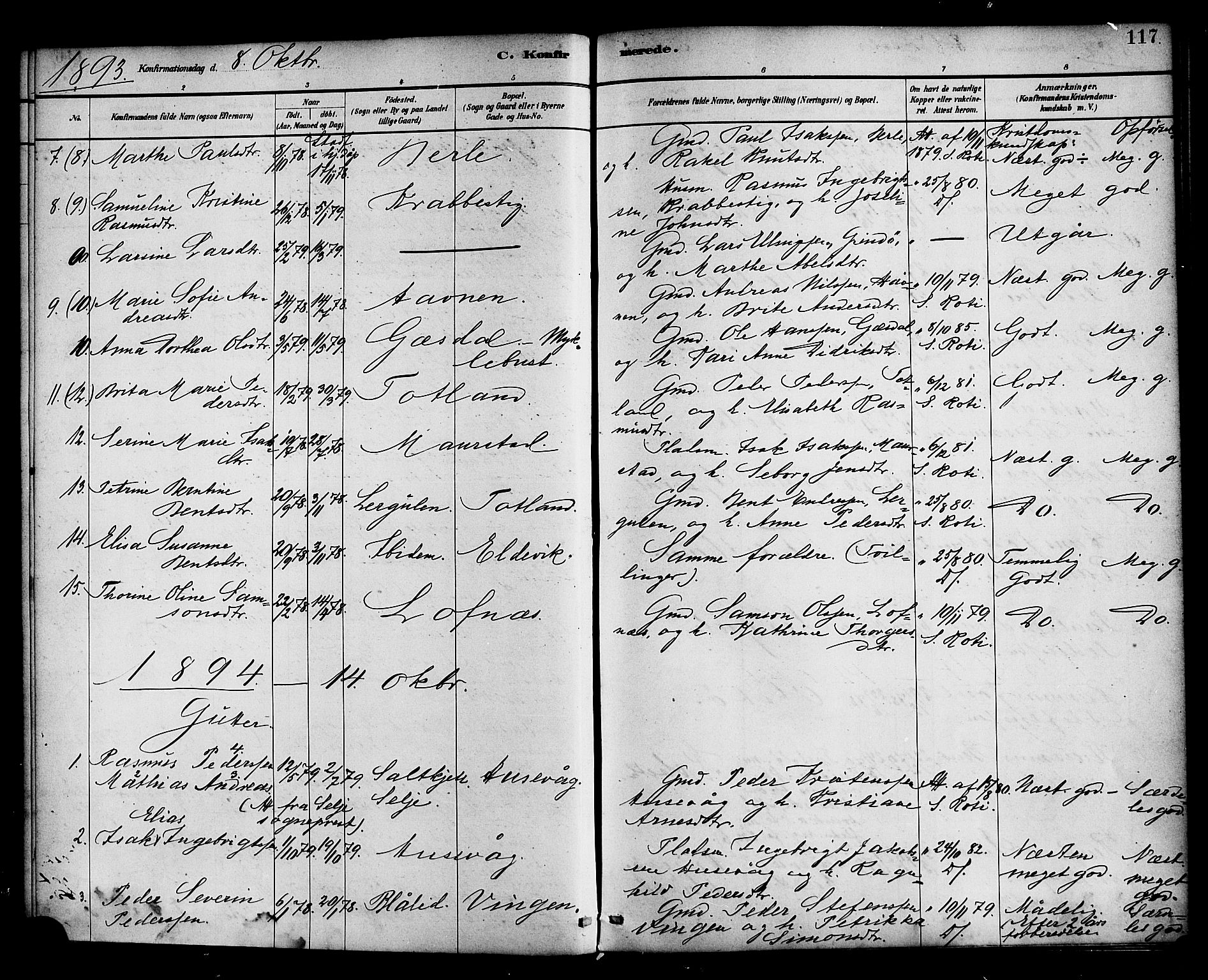 Davik sokneprestembete, SAB/A-79701/H/Haa/Haad/L0001: Parish register (official) no. D 1, 1882-1900, p. 117