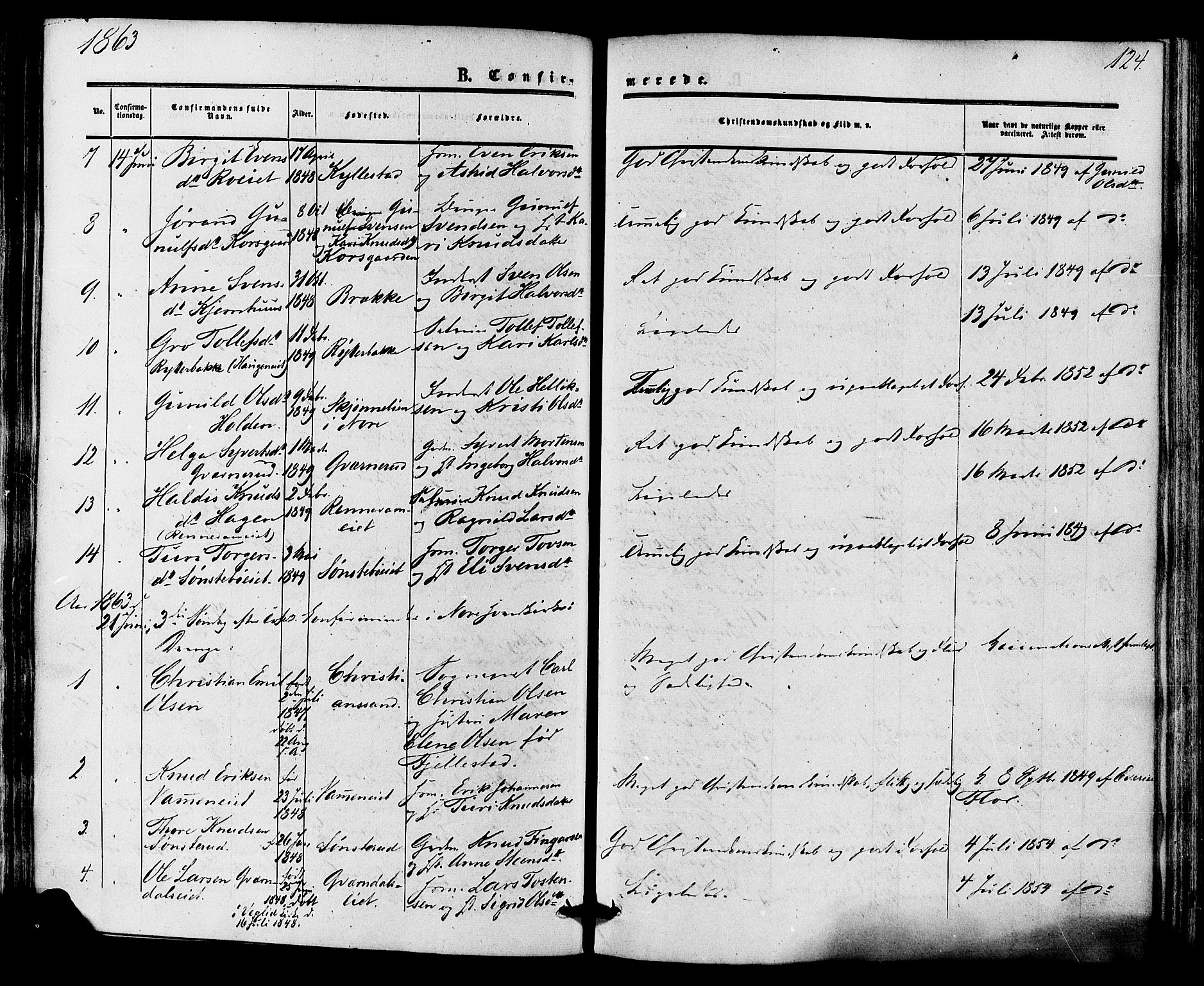 Nore kirkebøker, AV/SAKO-A-238/F/Fa/L0003: Parish register (official) no. I 3, 1858-1866, p. 124