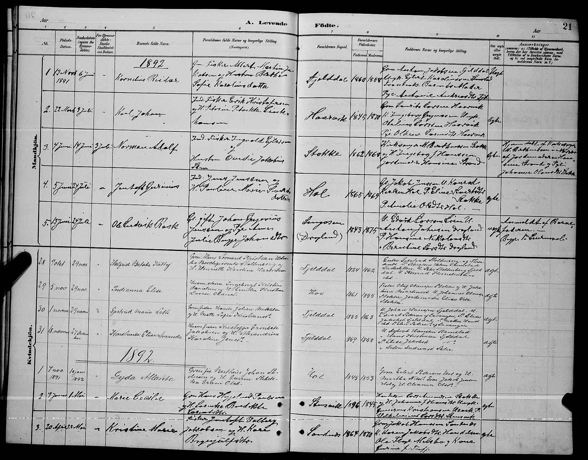 Ministerialprotokoller, klokkerbøker og fødselsregistre - Nordland, AV/SAT-A-1459/865/L0931: Parish register (copy) no. 865C03, 1885-1901, p. 21