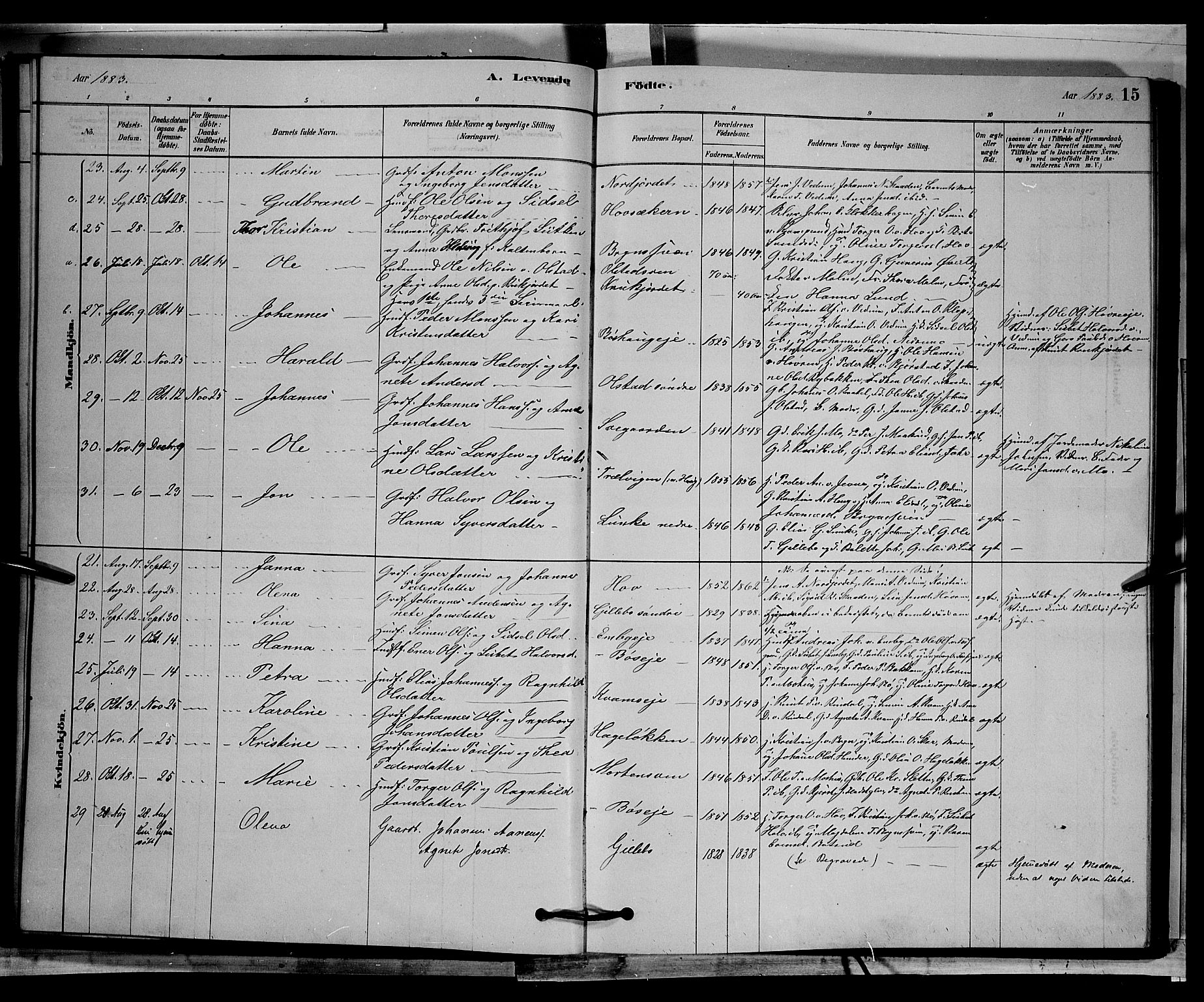 Øyer prestekontor, AV/SAH-PREST-084/H/Ha/Hab/L0002: Parish register (copy) no. 2, 1878-1896, p. 15