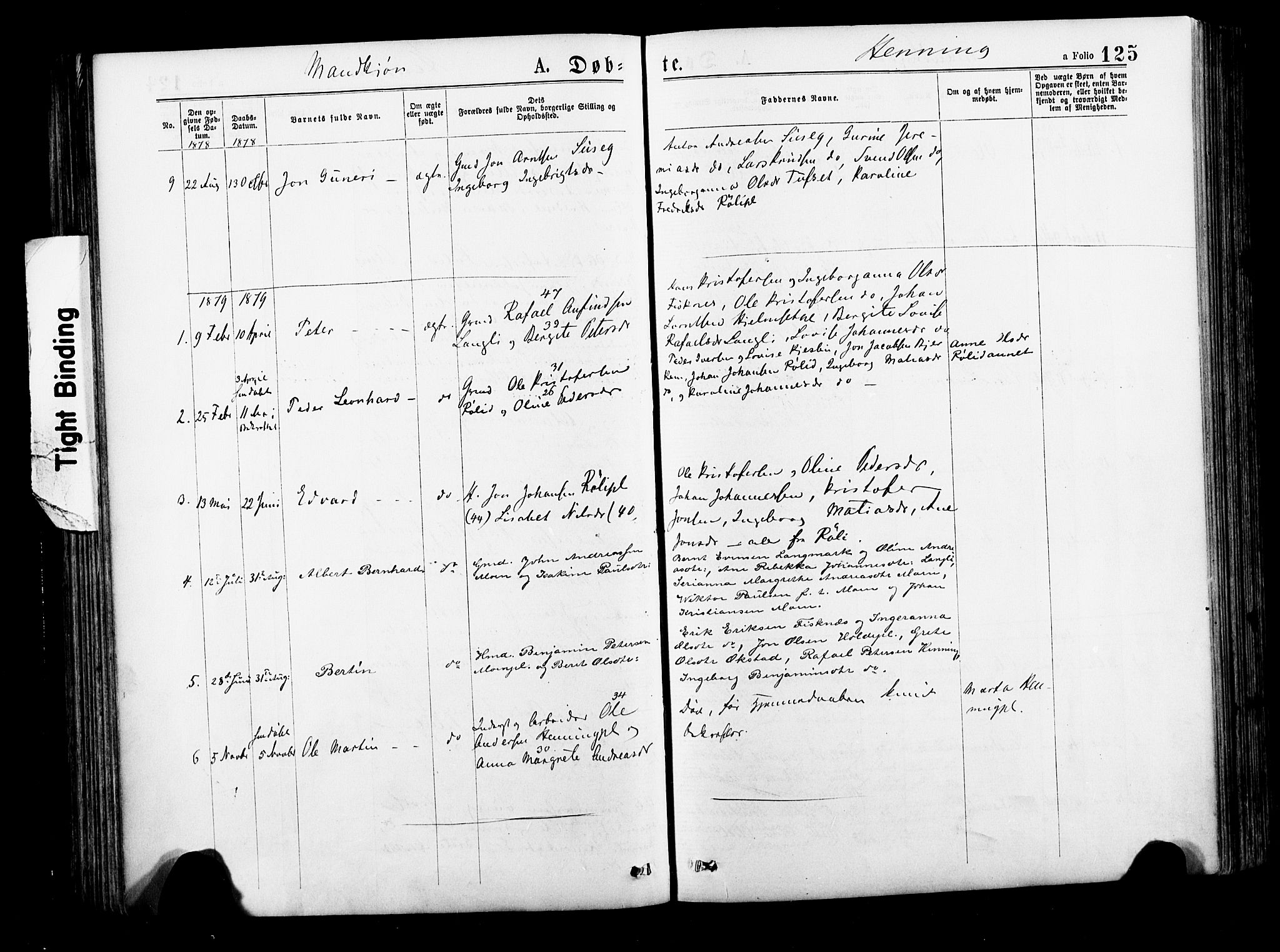 Ministerialprotokoller, klokkerbøker og fødselsregistre - Nord-Trøndelag, AV/SAT-A-1458/735/L0348: Parish register (official) no. 735A09 /3, 1873-1883, p. 125