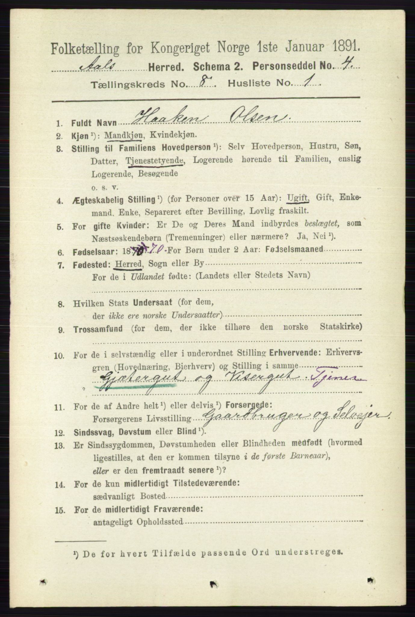 RA, 1891 census for 0619 Ål, 1891, p. 2096