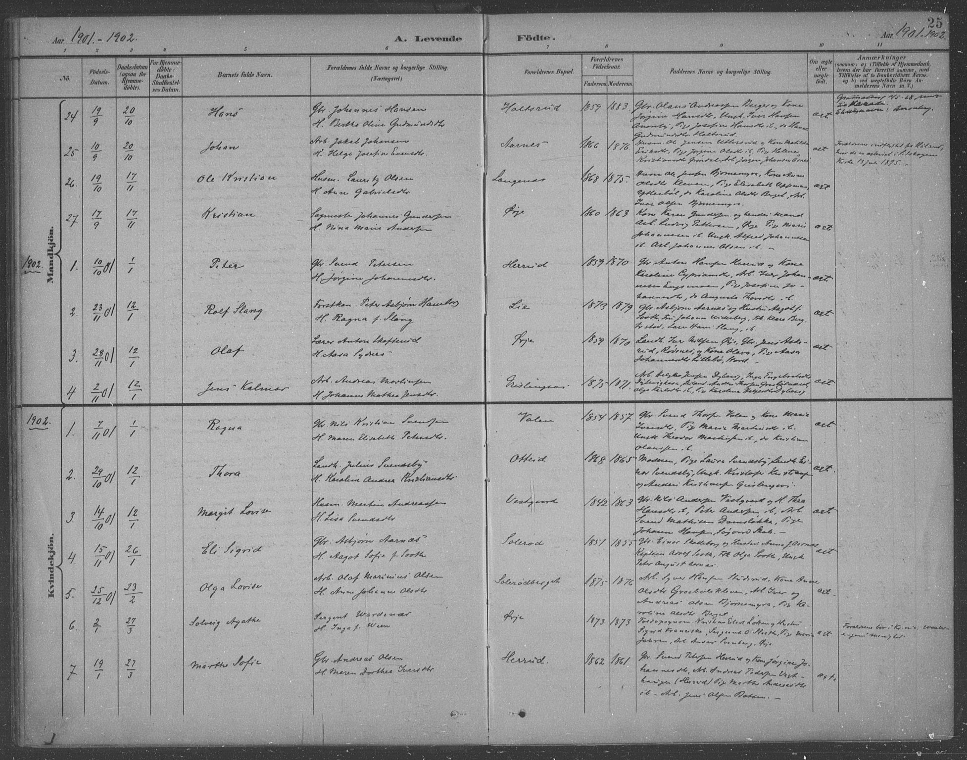 Aremark prestekontor Kirkebøker, SAO/A-10899/F/Fb/L0005: Parish register (official) no. II 5, 1895-1919, p. 25