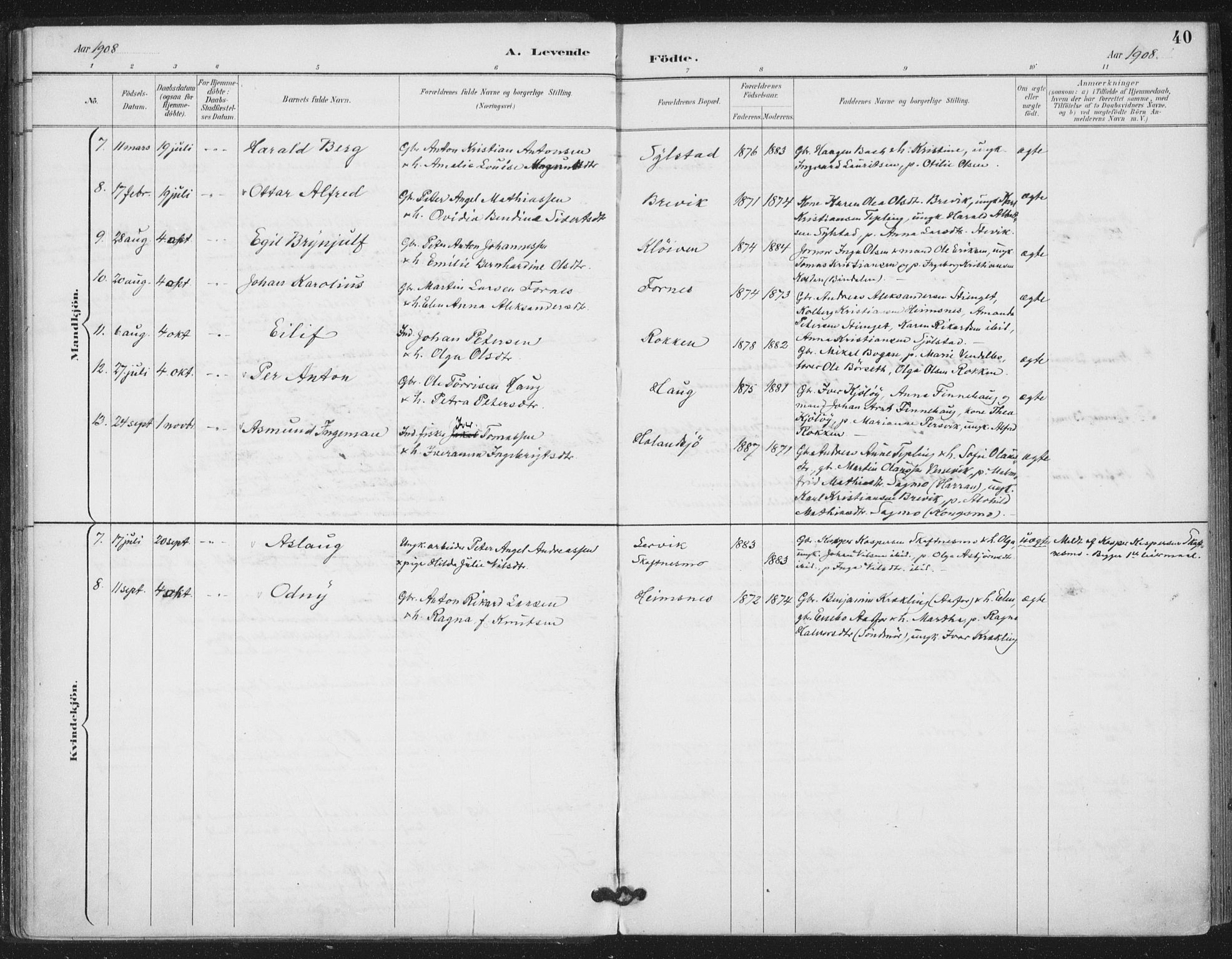 Ministerialprotokoller, klokkerbøker og fødselsregistre - Nord-Trøndelag, SAT/A-1458/783/L0660: Parish register (official) no. 783A02, 1886-1918, p. 40