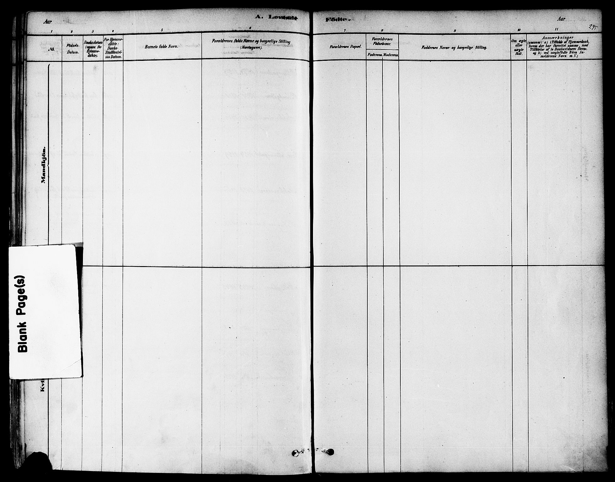 Domkirken sokneprestkontor, SAST/A-101812/001/30/30BA/L0026: Parish register (official) no. A 25, 1878-1889, p. 295