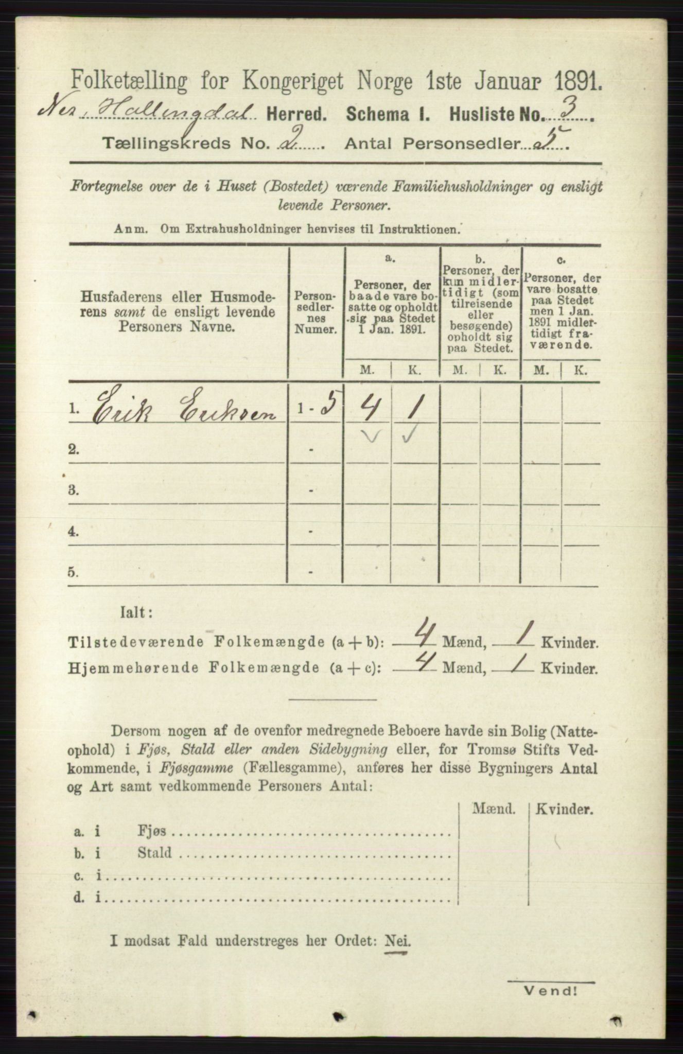 RA, 1891 census for 0616 Nes, 1891, p. 910