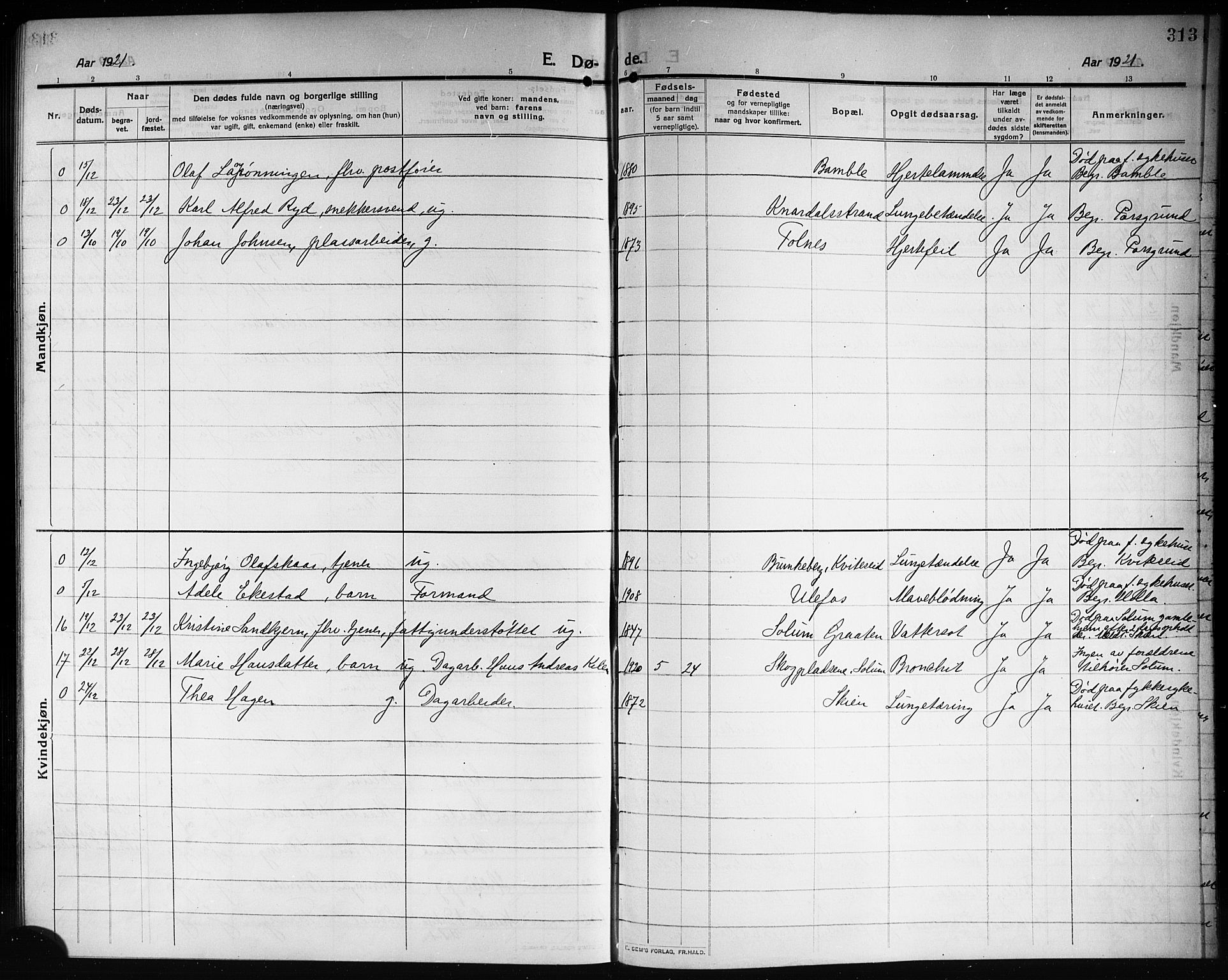 Solum kirkebøker, SAKO/A-306/G/Ga/L0009: Parish register (copy) no. I 9, 1909-1922, p. 313