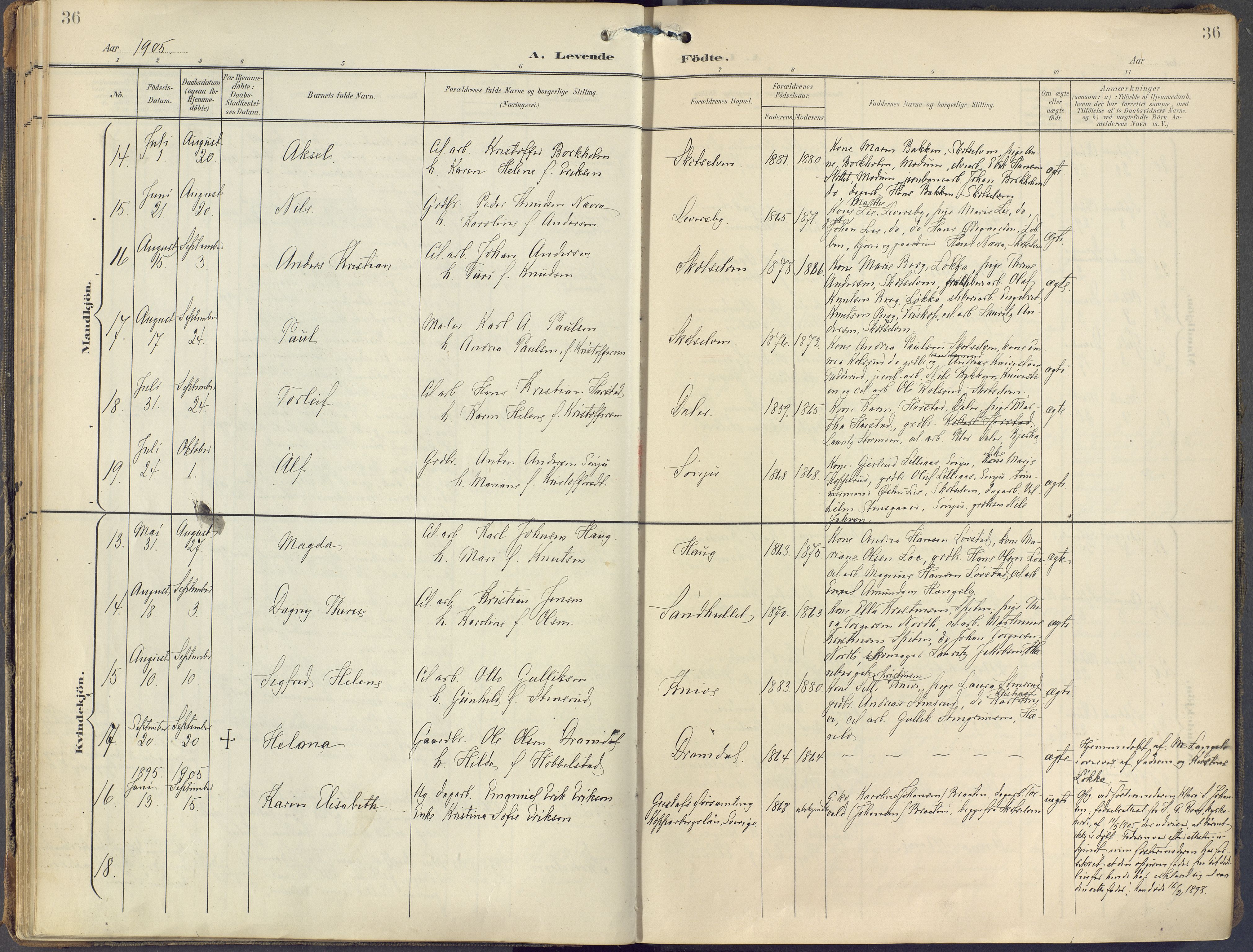 Eiker kirkebøker, SAKO/A-4/F/Fc/L0004: Parish register (official) no. III 4, 1900-1919, p. 36