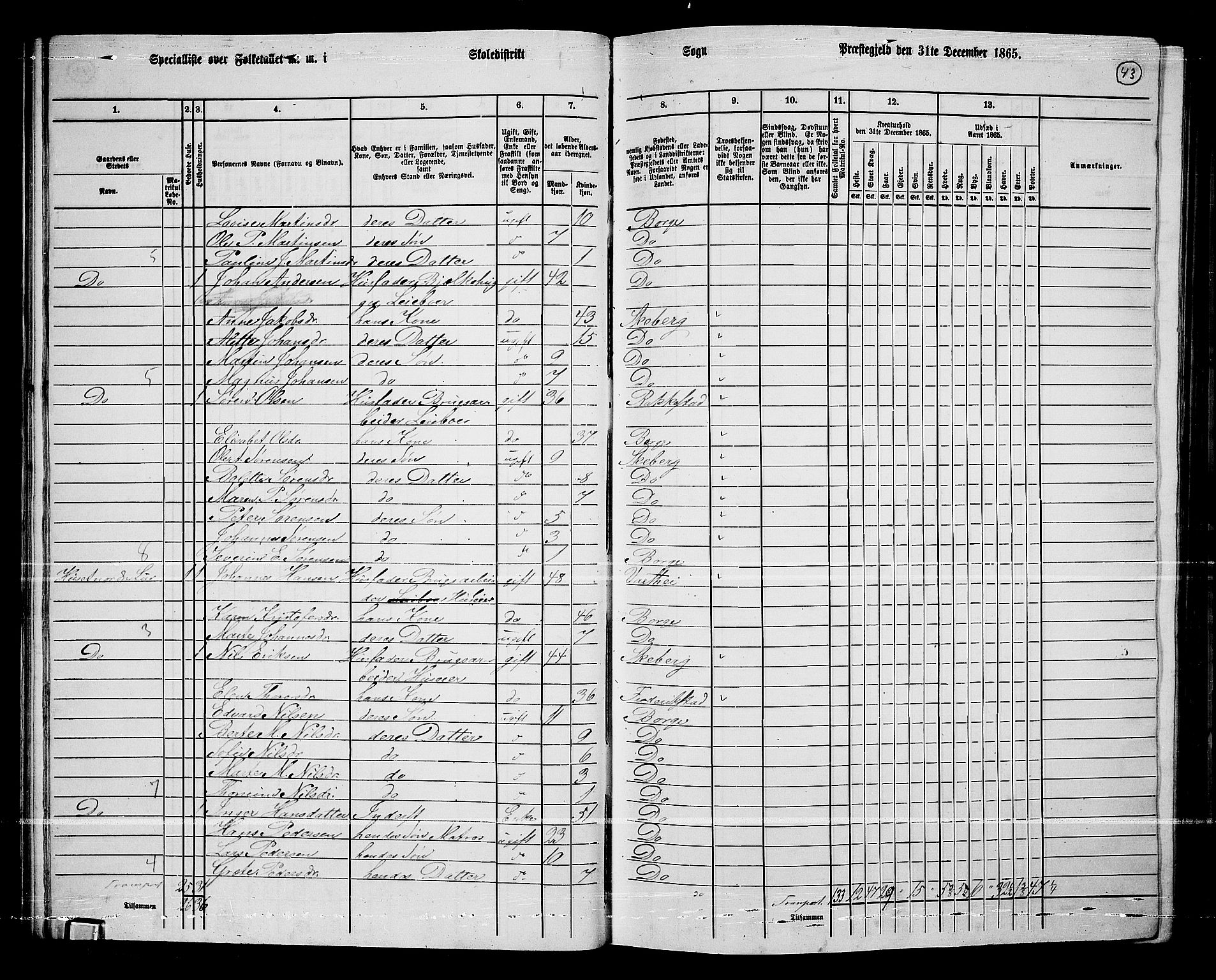 RA, 1865 census for Borge, 1865, p. 41