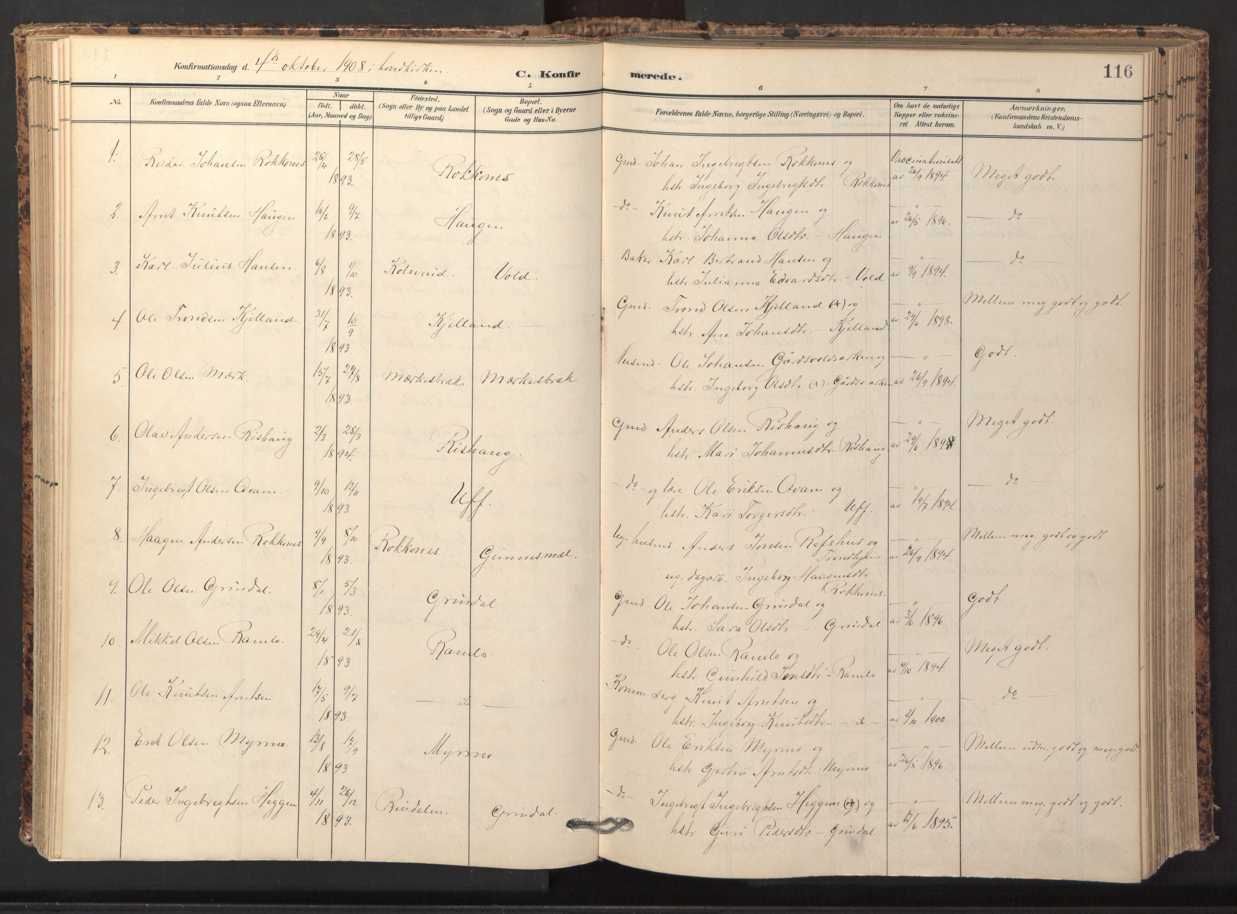 Ministerialprotokoller, klokkerbøker og fødselsregistre - Sør-Trøndelag, AV/SAT-A-1456/674/L0873: Parish register (official) no. 674A05, 1908-1923, p. 116