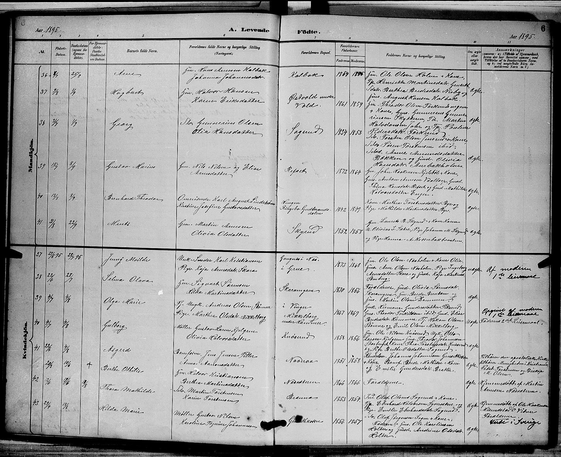 Grue prestekontor, AV/SAH-PREST-036/H/Ha/Hab/L0003: Parish register (copy) no. 3, 1895-1899, p. 6