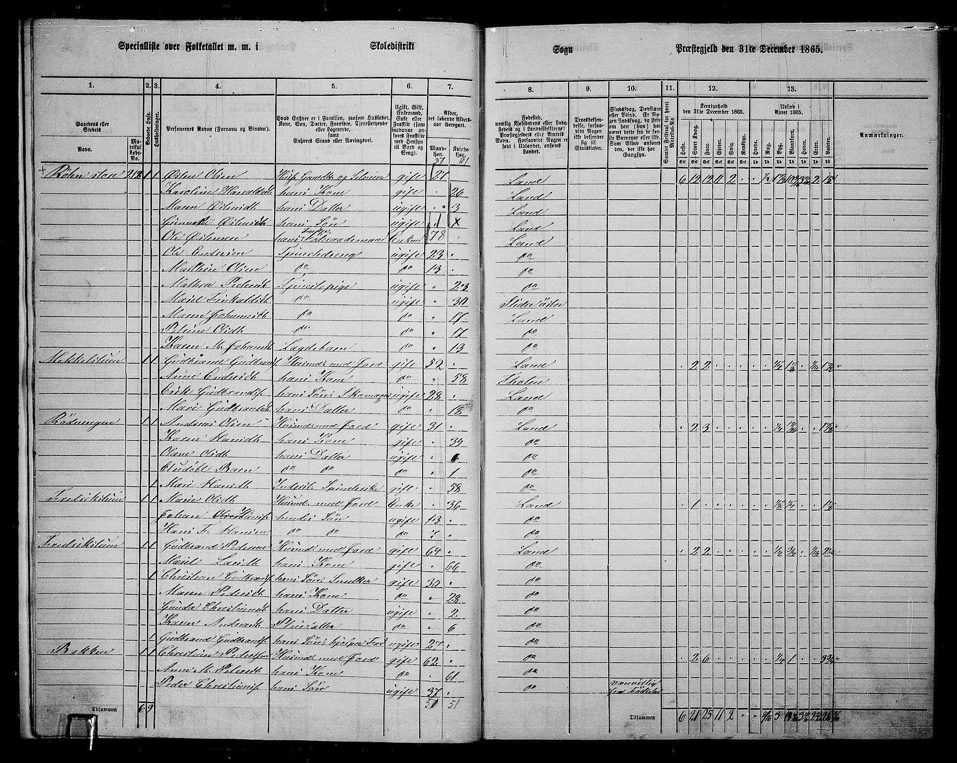 RA, 1865 census for Land, 1865, p. 220