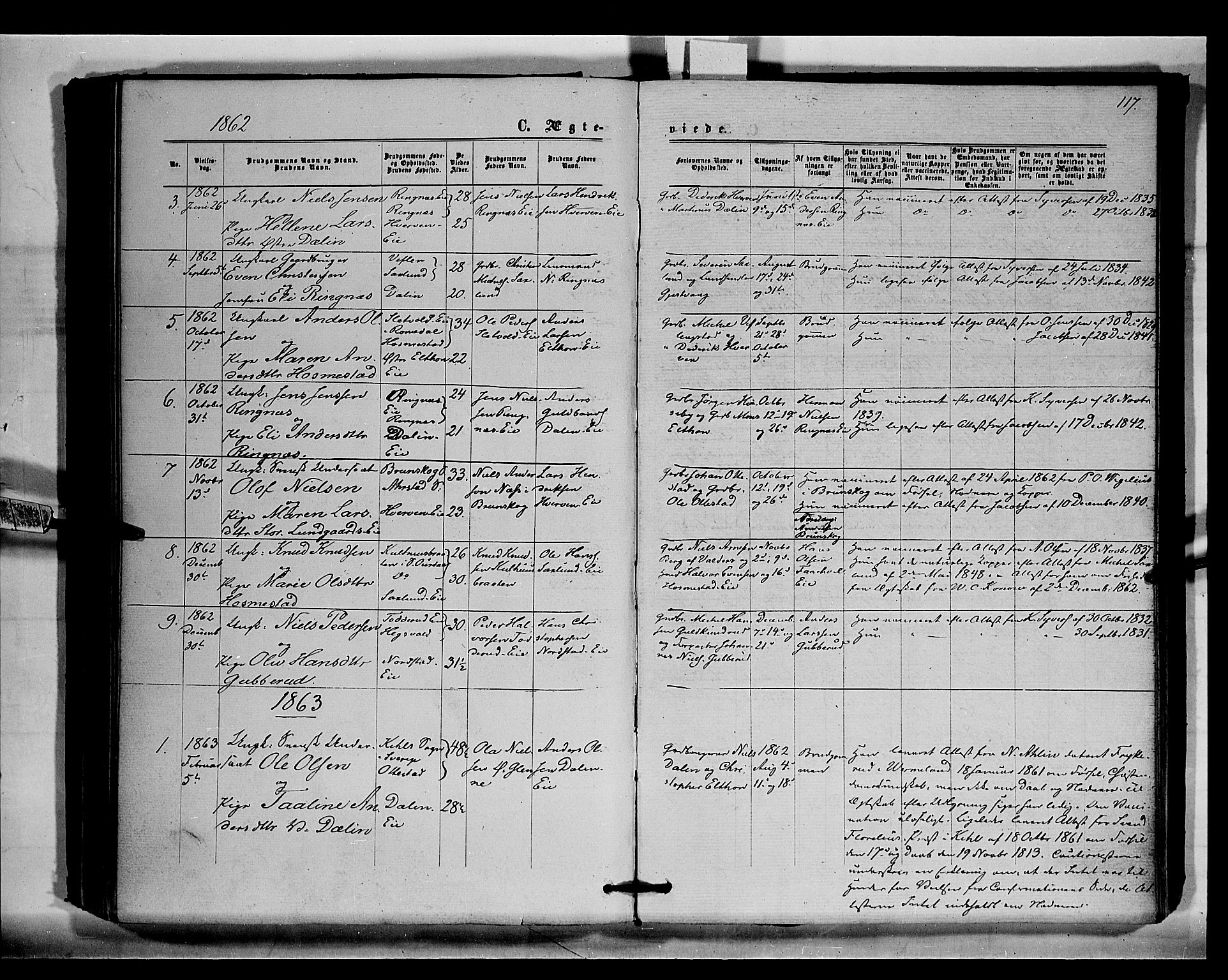 Stange prestekontor, SAH/PREST-002/K/L0015: Parish register (official) no. 15, 1862-1879, p. 117