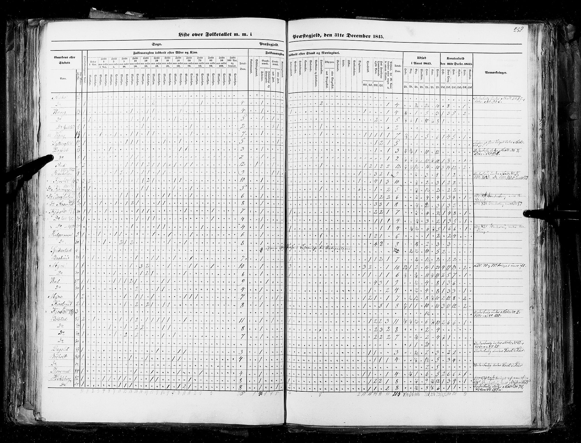 RA, Census 1845, vol. 4: Buskerud amt og Jarlsberg og Larvik amt, 1845, p. 258