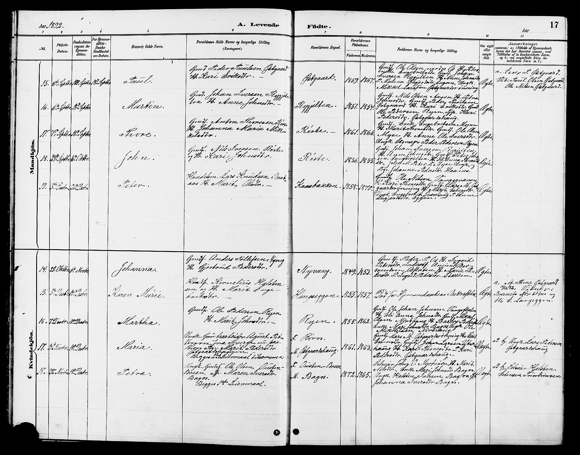 Tolga prestekontor, AV/SAH-PREST-062/L/L0008: Parish register (copy) no. 8, 1887-1912, p. 17