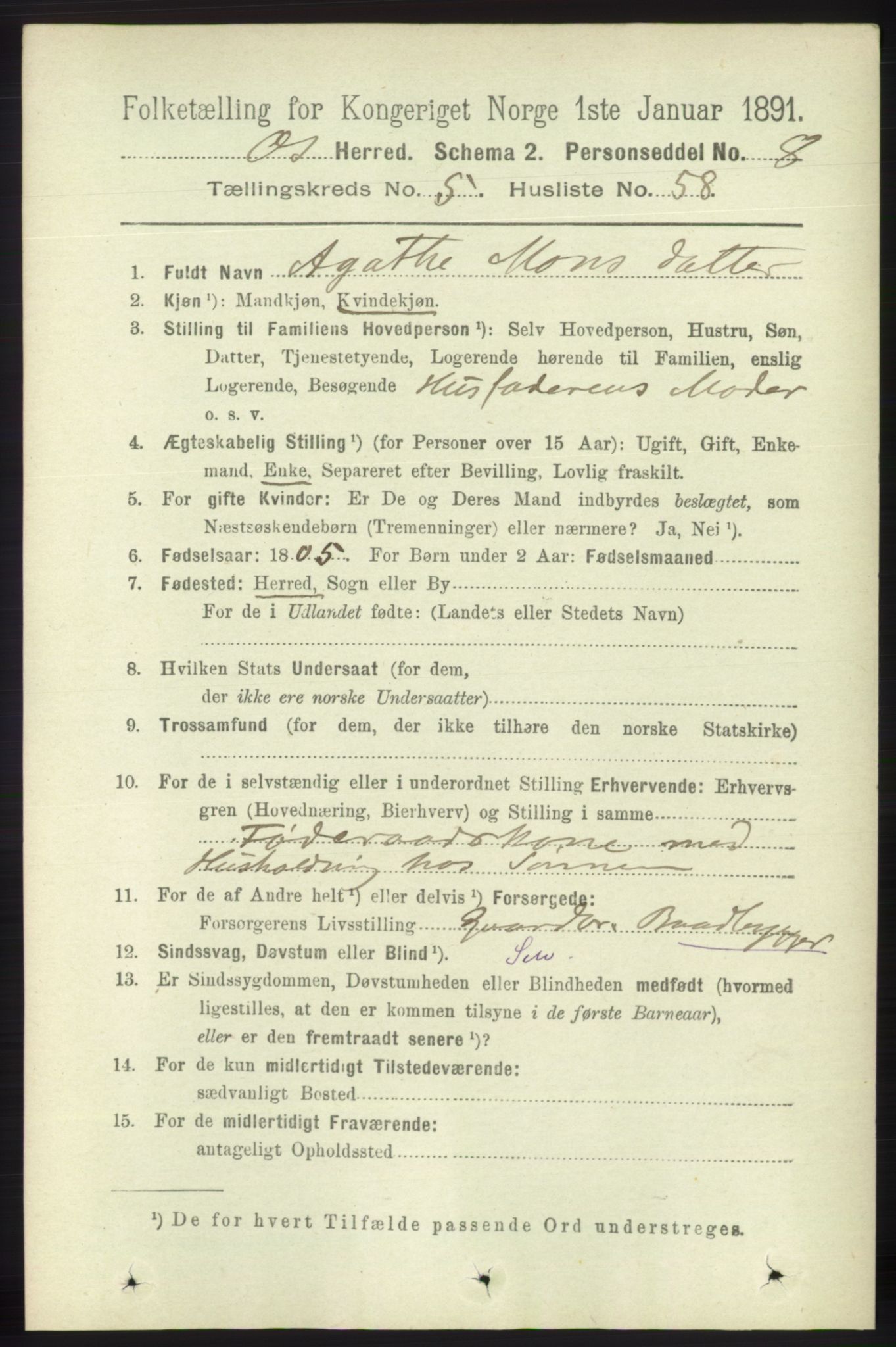 RA, 1891 census for 1243 Os, 1891, p. 1296