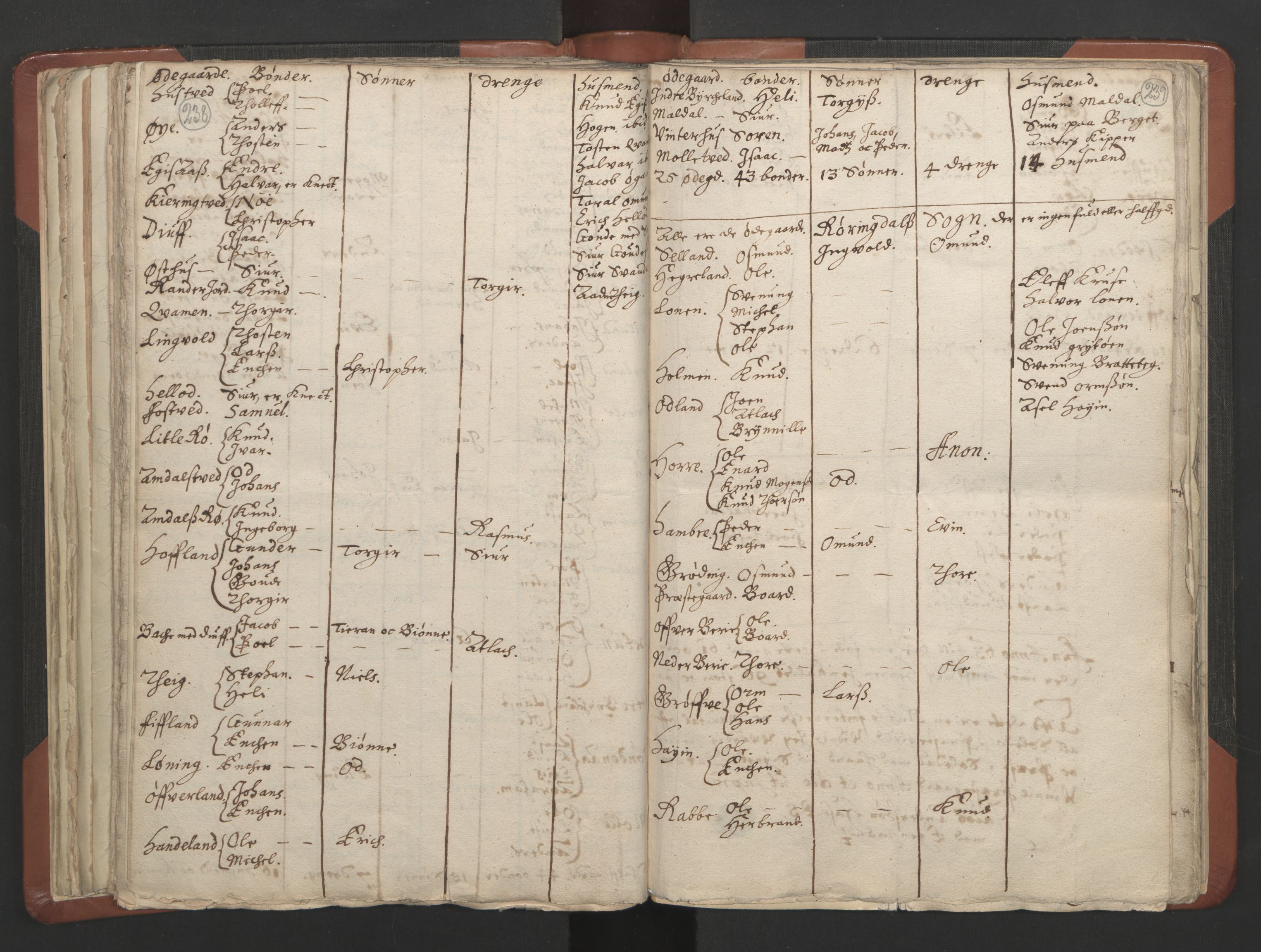 RA, Vicar's Census 1664-1666, no. 19: Ryfylke deanery, 1664-1666, p. 238-239