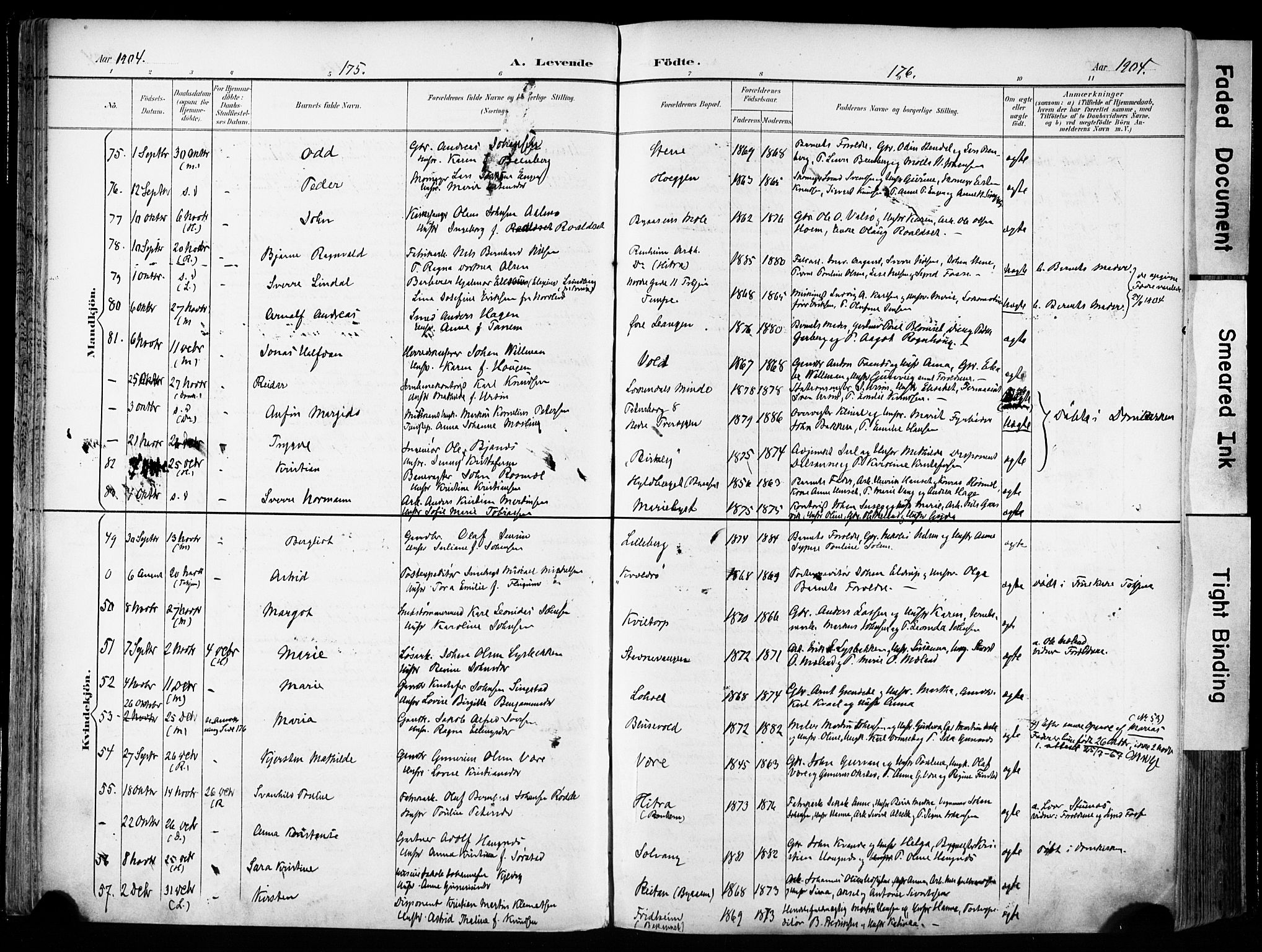 Ministerialprotokoller, klokkerbøker og fødselsregistre - Sør-Trøndelag, SAT/A-1456/606/L0301: Parish register (official) no. 606A16, 1894-1907, p. 175-176