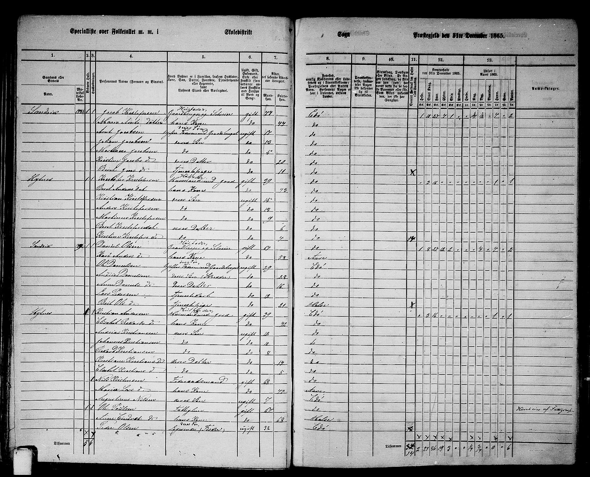 RA, 1865 census for Edøy, 1865, p. 31