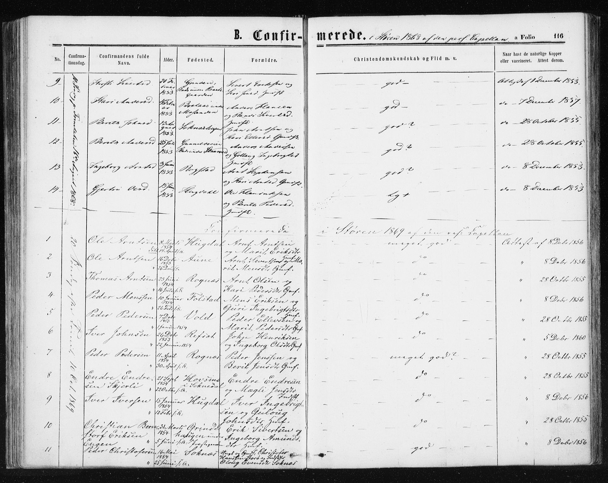 Ministerialprotokoller, klokkerbøker og fødselsregistre - Sør-Trøndelag, SAT/A-1456/687/L1001: Parish register (official) no. 687A07, 1863-1878, p. 116