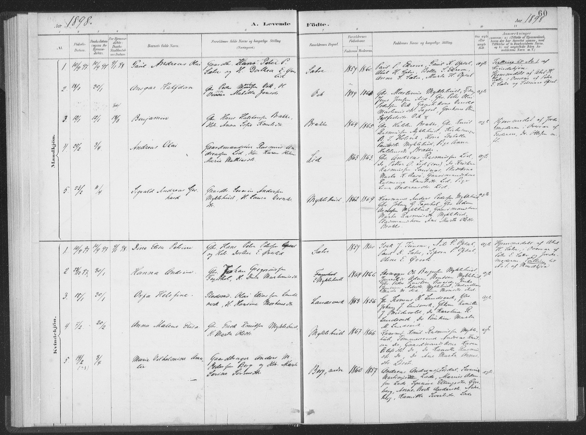 Ministerialprotokoller, klokkerbøker og fødselsregistre - Møre og Romsdal, AV/SAT-A-1454/502/L0025: Parish register (official) no. 502A03, 1885-1909, p. 60