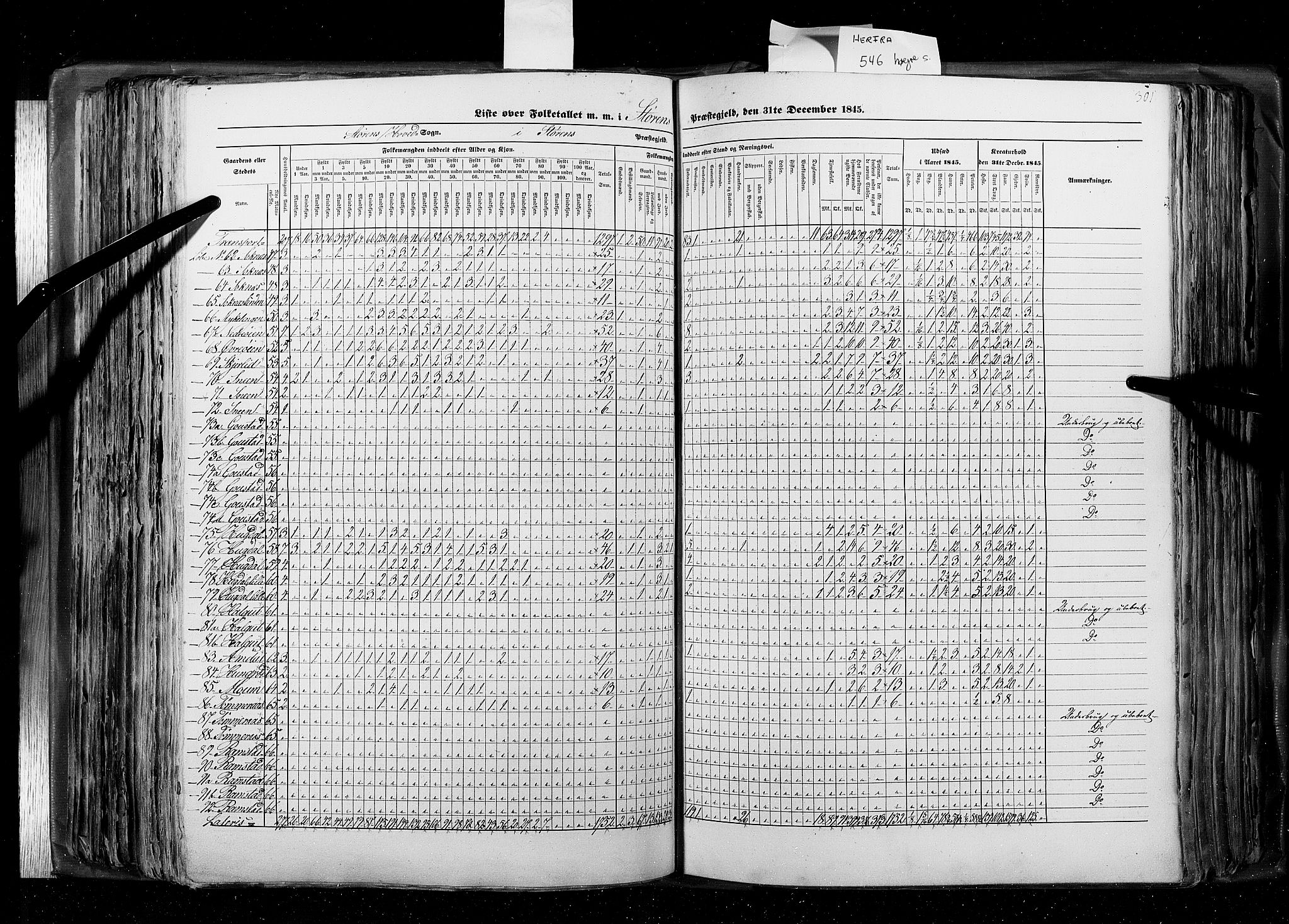 RA, Census 1845, vol. 8: Romsdal amt og Søndre Trondhjems amt, 1845, p. 301