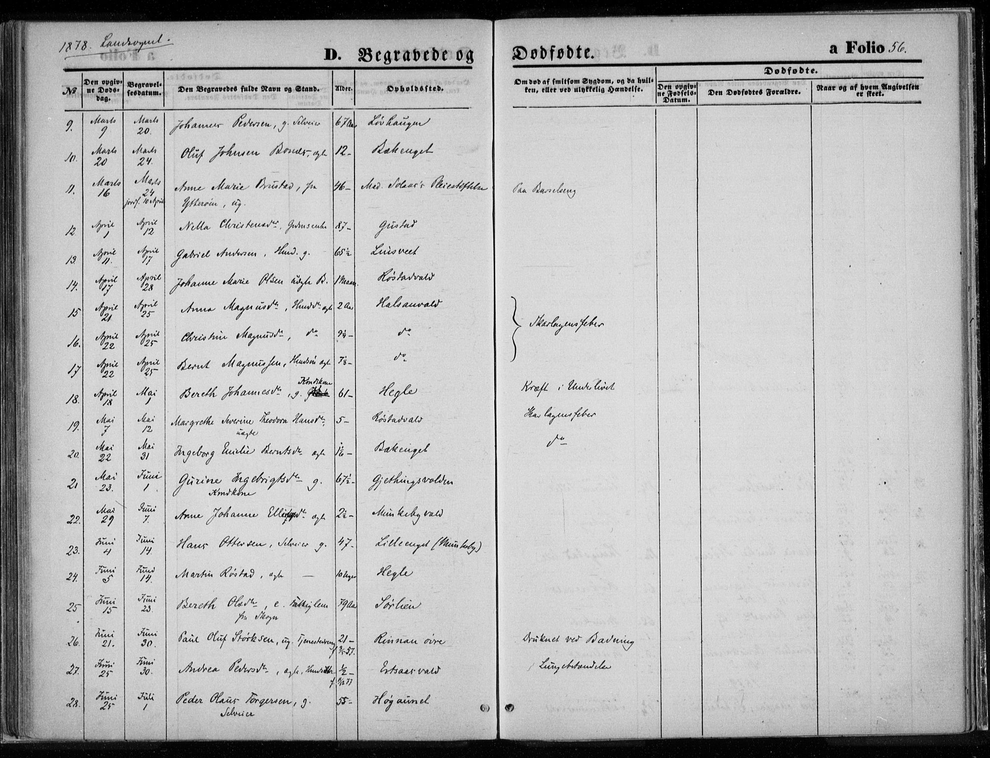 Ministerialprotokoller, klokkerbøker og fødselsregistre - Nord-Trøndelag, SAT/A-1458/720/L0187: Parish register (official) no. 720A04 /2, 1875-1879, p. 56