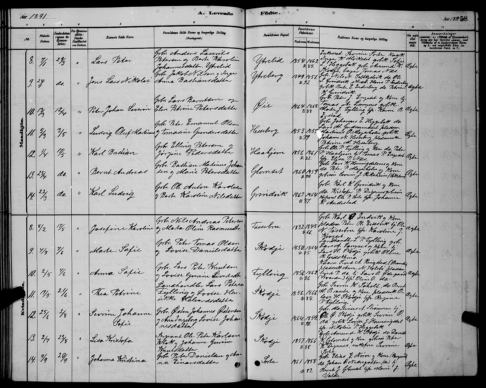 Ministerialprotokoller, klokkerbøker og fødselsregistre - Møre og Romsdal, AV/SAT-A-1454/524/L0365: Parish register (copy) no. 524C06, 1880-1899, p. 58