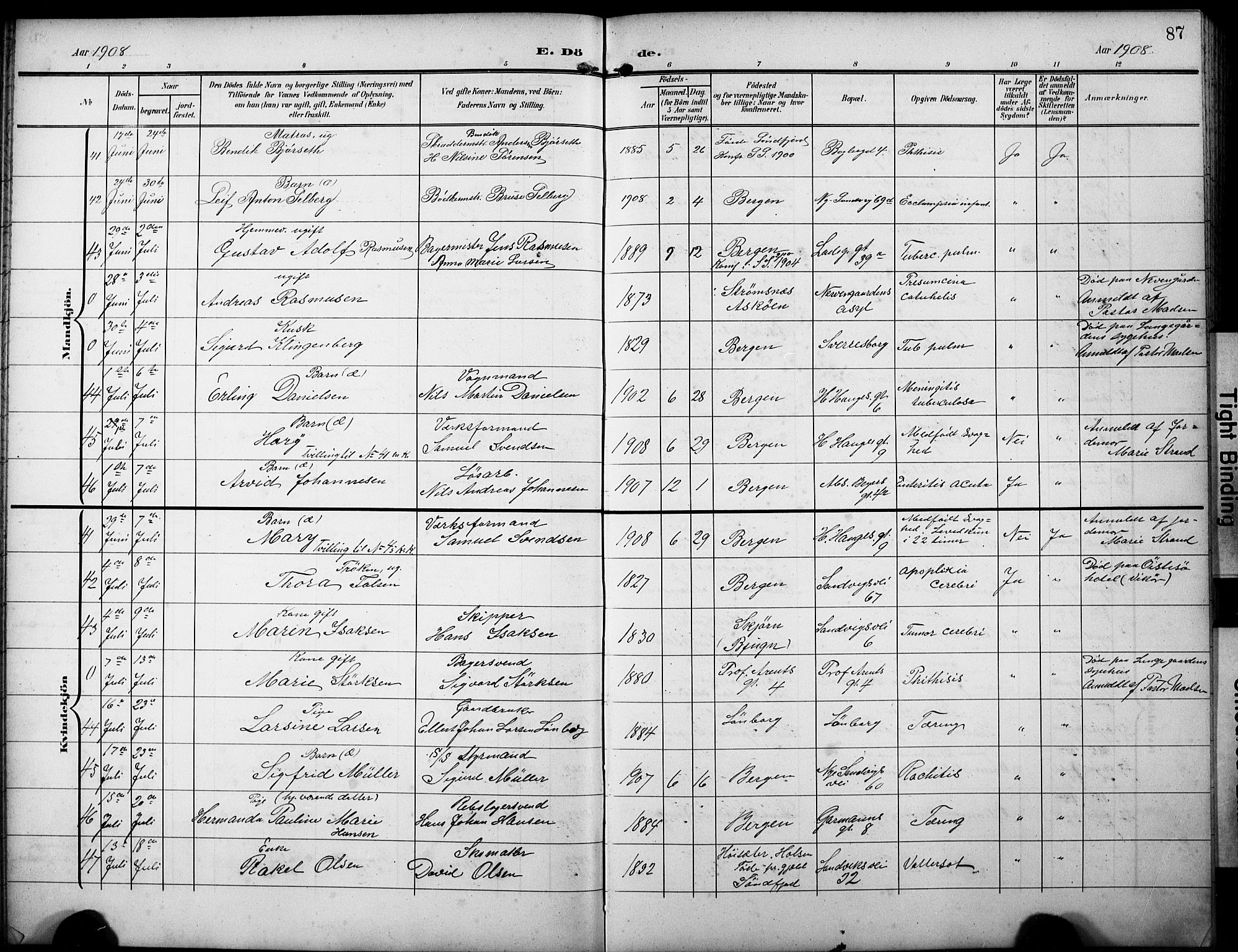 Sandviken Sokneprestembete, SAB/A-77601/H/Hb/L0017: Parish register (copy) no. E 1, 1903-1926, p. 87