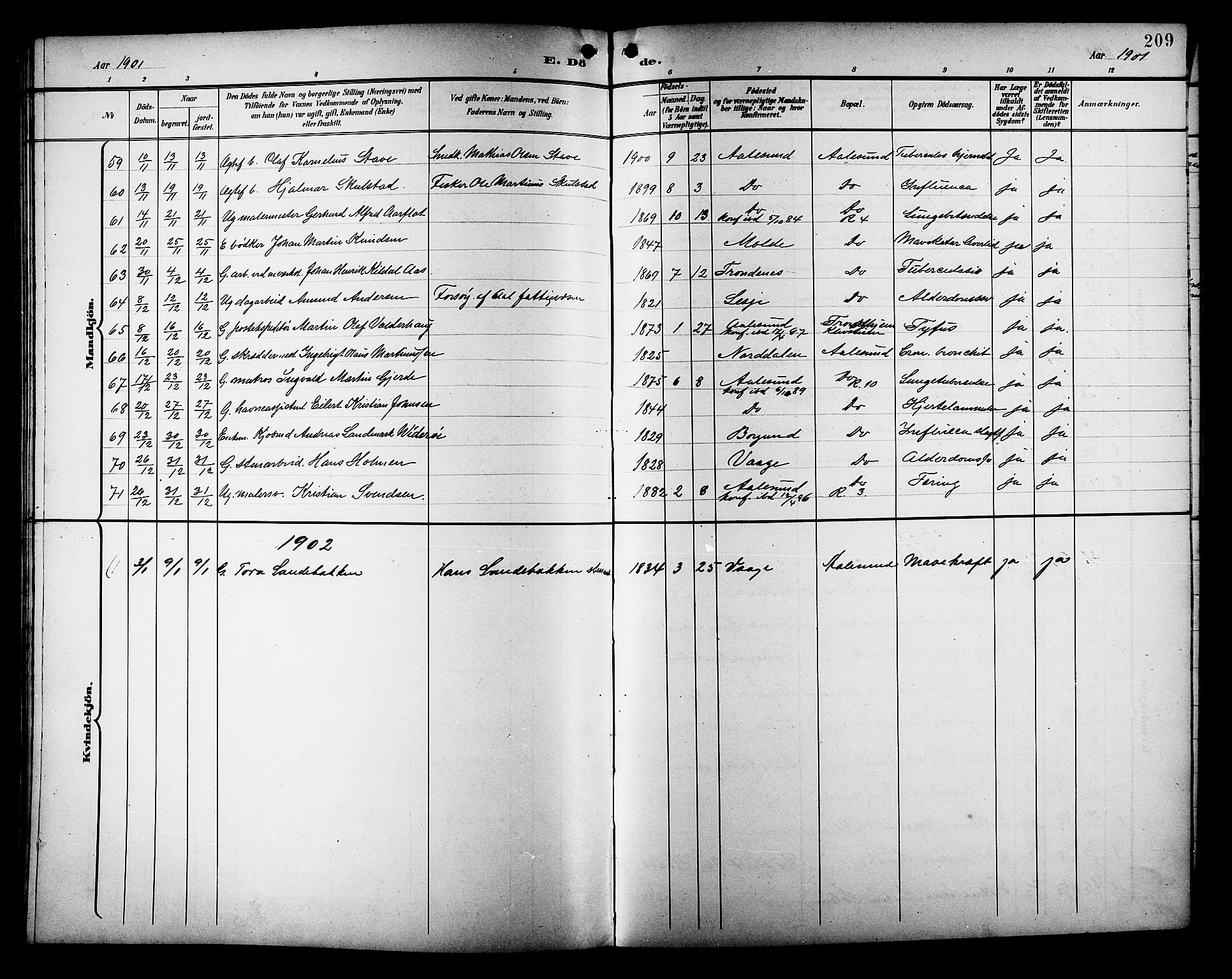 Ministerialprotokoller, klokkerbøker og fødselsregistre - Møre og Romsdal, AV/SAT-A-1454/529/L0469: Parish register (copy) no. 529C06, 1898-1906, p. 209