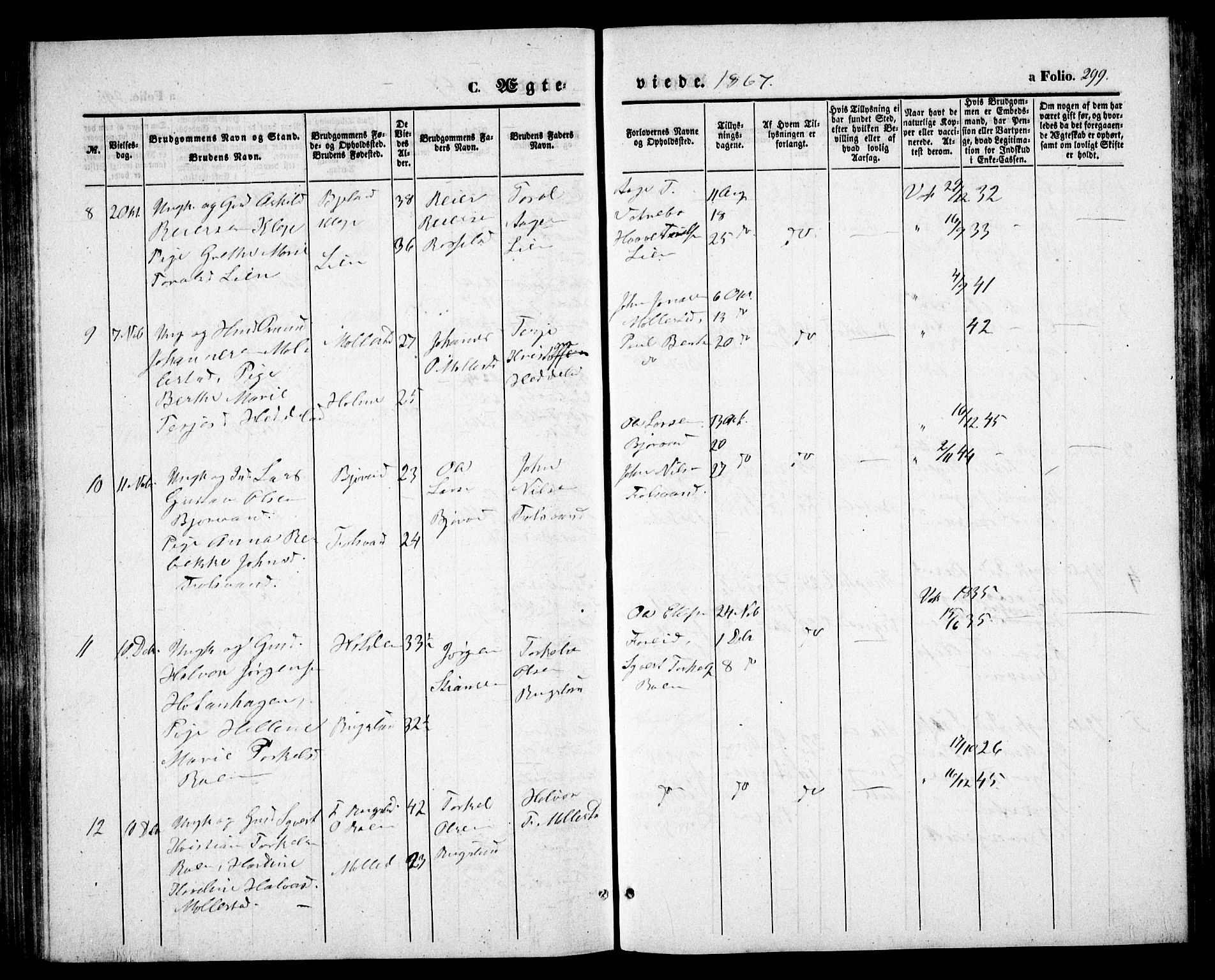 Birkenes sokneprestkontor, SAK/1111-0004/F/Fb/L0002: Parish register (copy) no. B 2, 1849-1876, p. 299