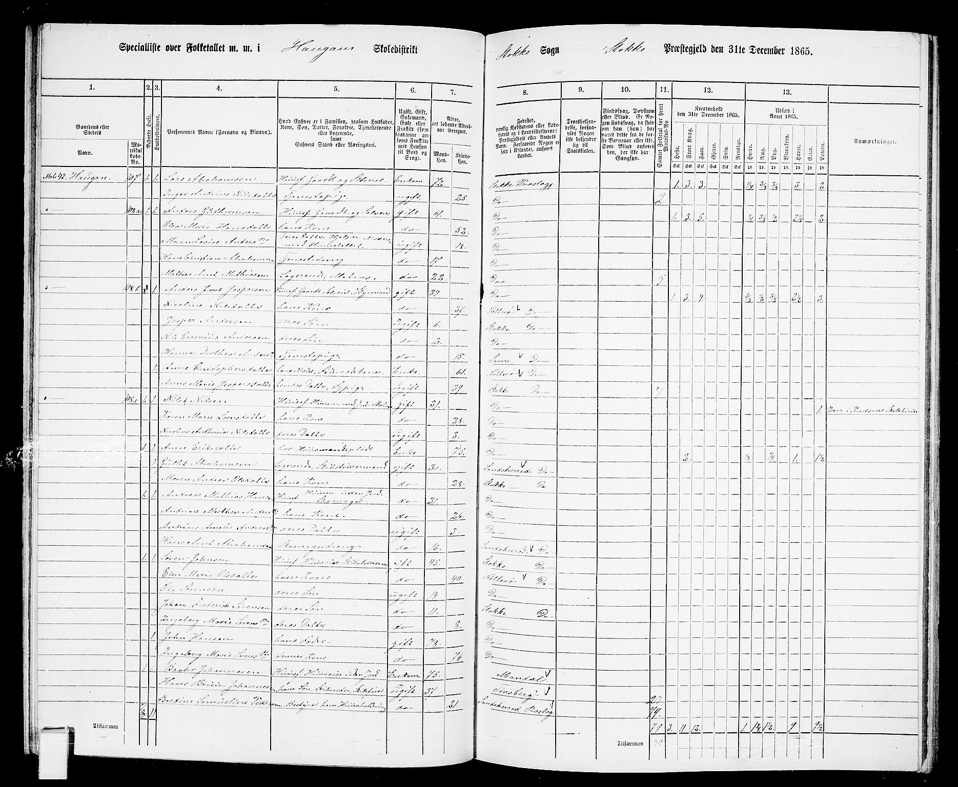 RA, 1865 census for Stokke, 1865, p. 86